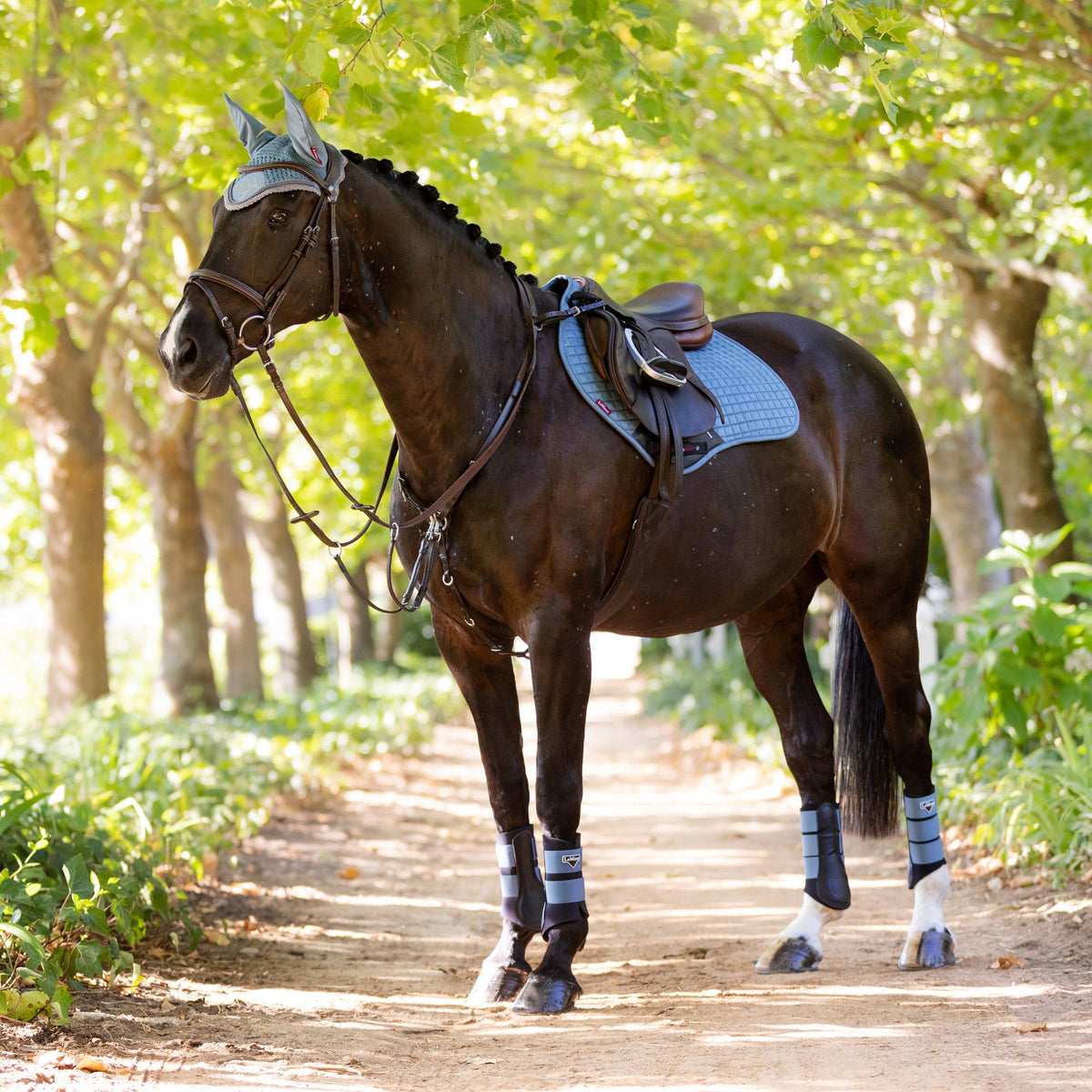 Suede Close Contact Saddle Pad Ice Blue