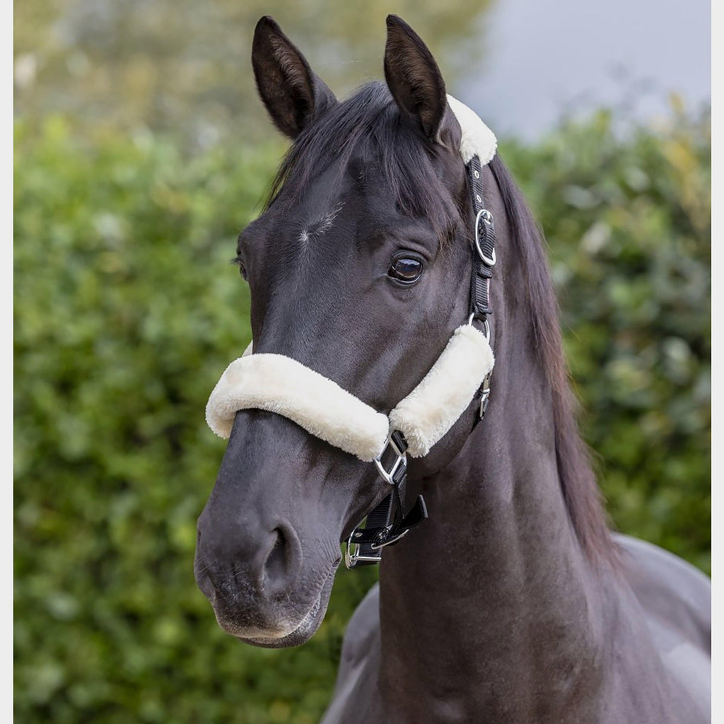 Comfort Fleece Headcollar Black/Natural