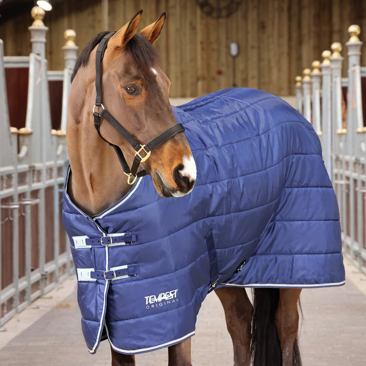 Tempest 200g Medium Weight Standard Neck Stable Rug Navy