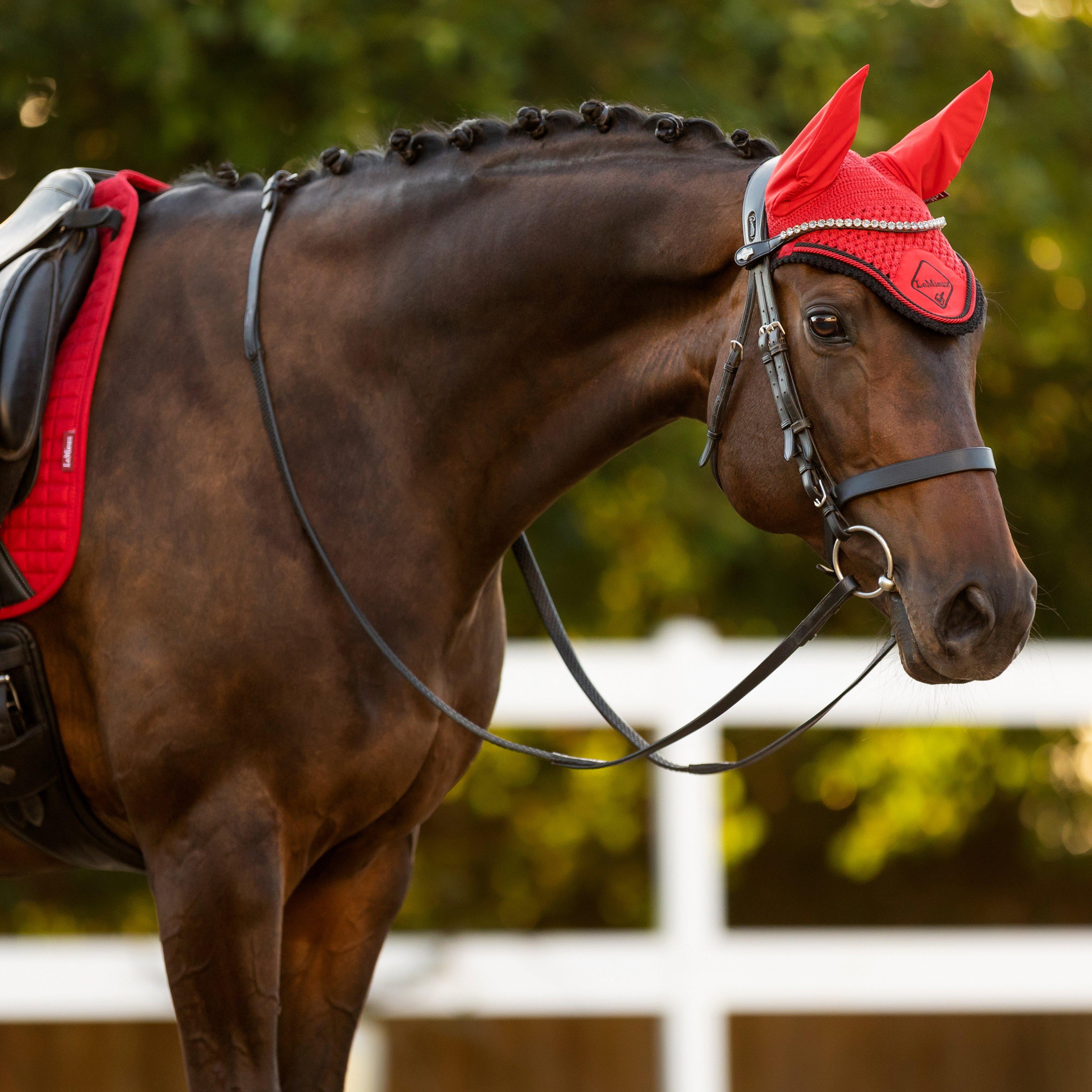 Classic Fly Hood Chilli