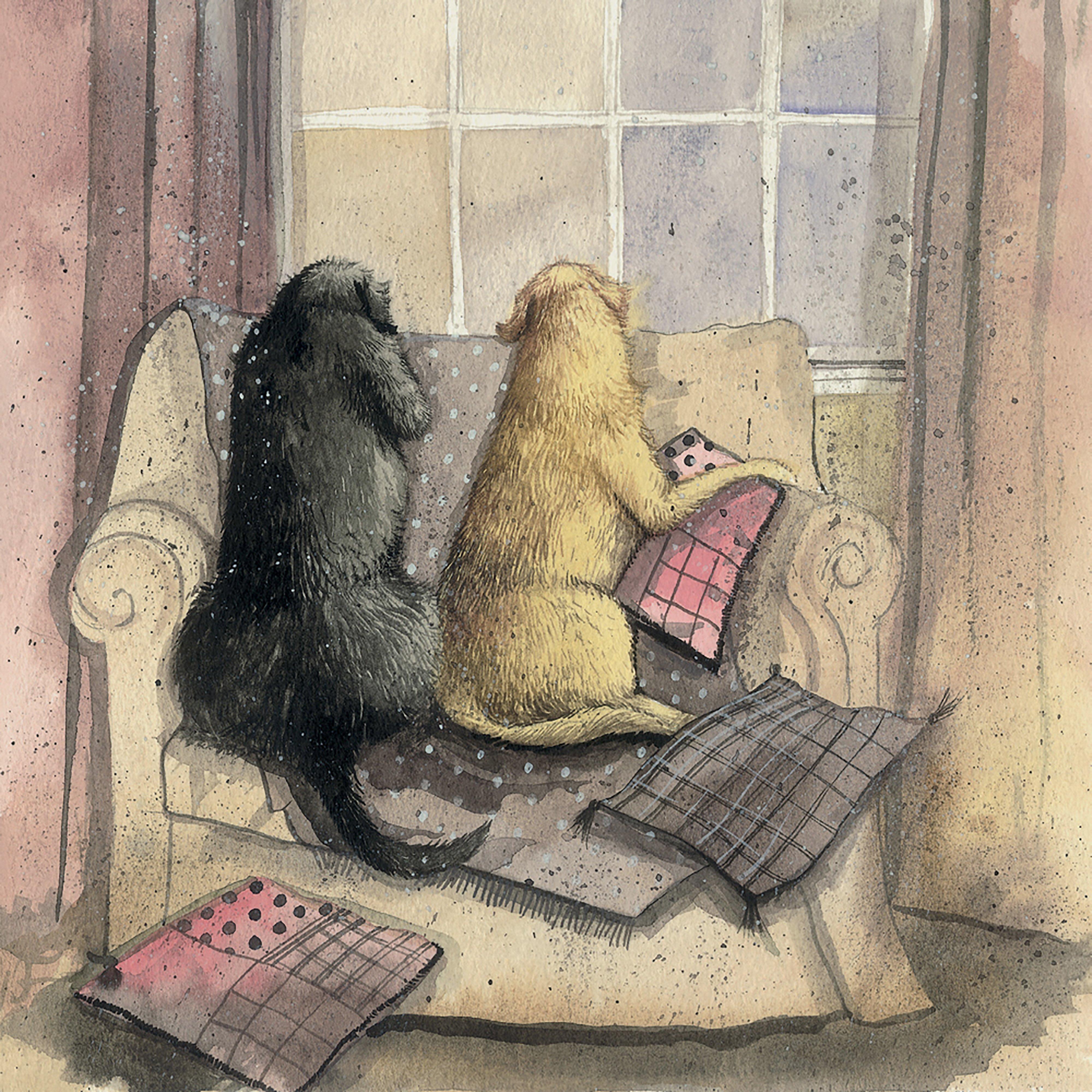 Blank Card Looking Out Dog