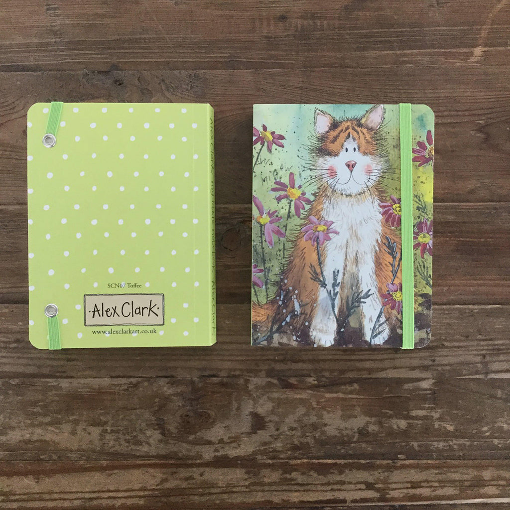 Toffee Cat Small Chunky Notebook