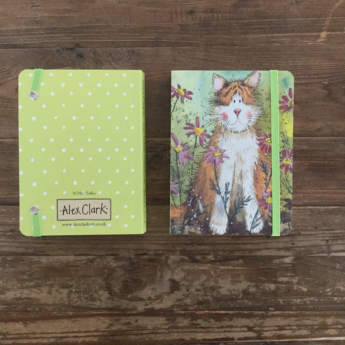 Toffee Cat Small Chunky Notebook