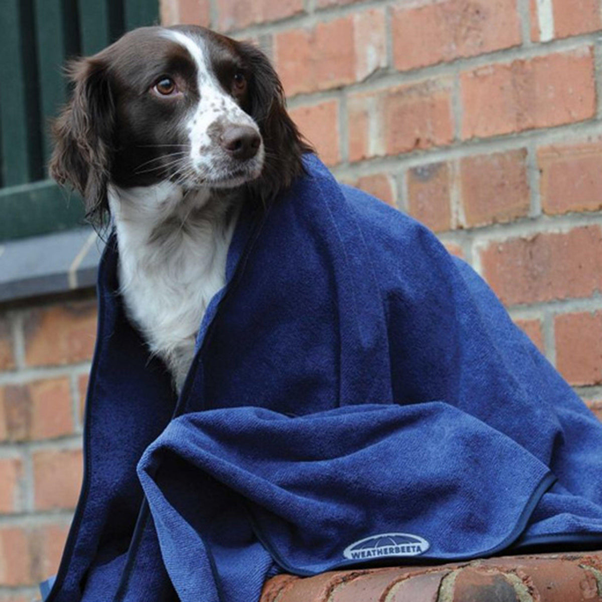 Dog Towel Blue
