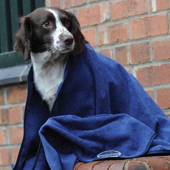 Dog Towel Blue
