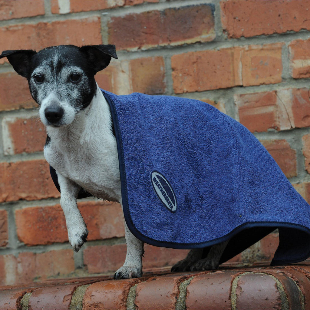 Dog Towel Blue