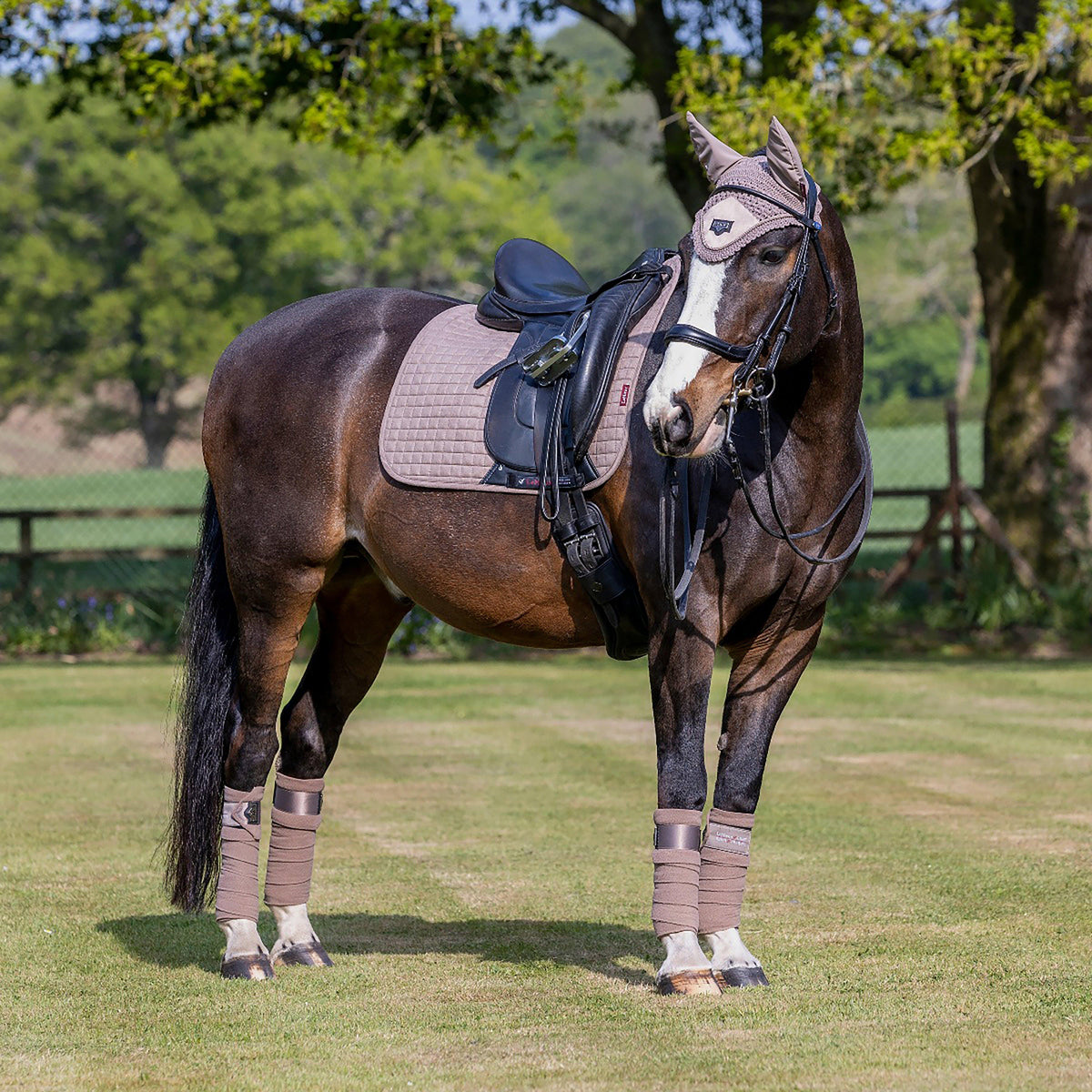 ProSport Suede Dressage Square Saddle Pad Mink
