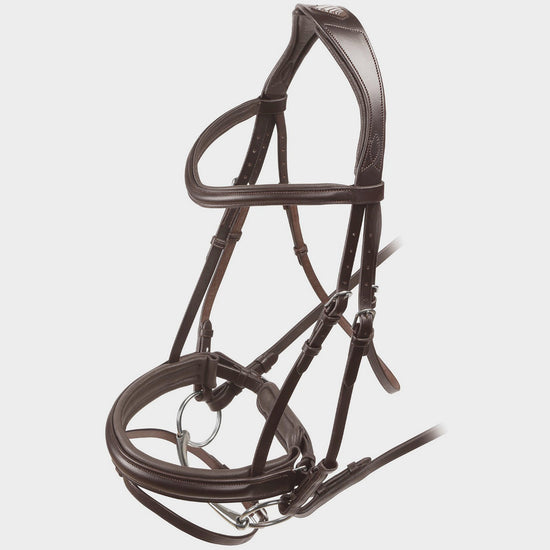 Dressage Flash Bridle Havana