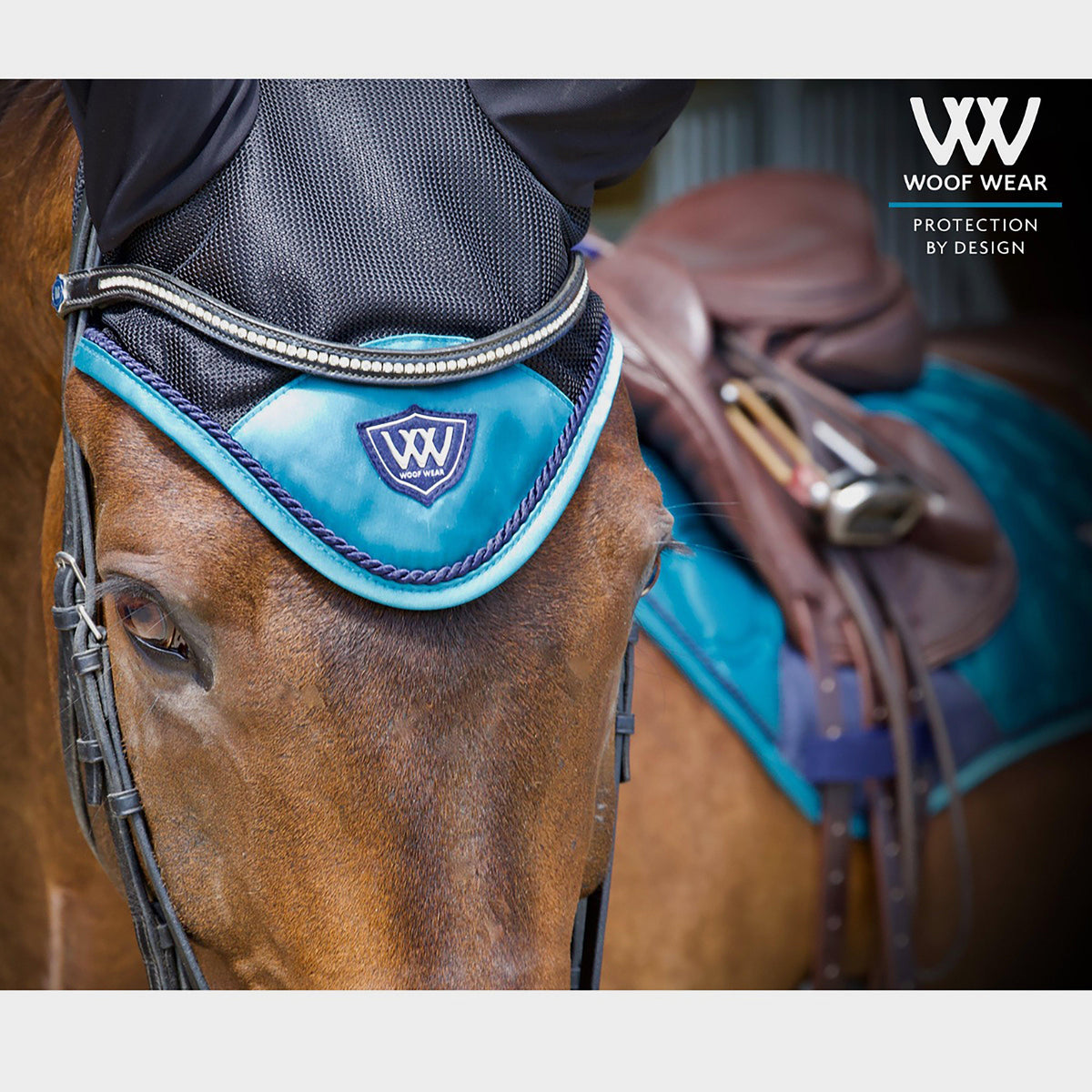 Vision Fly Veil Ocean