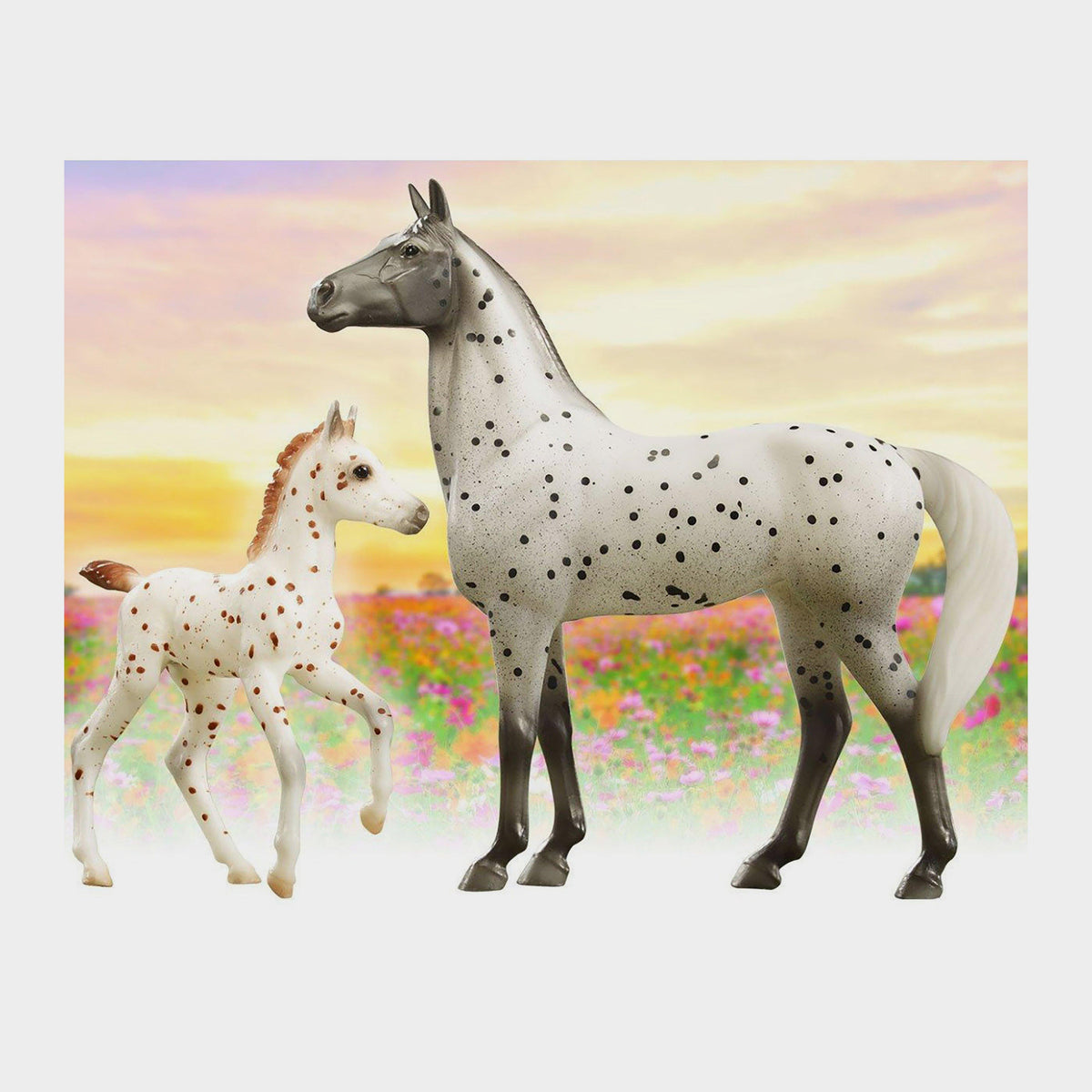 Classic Spotted Wonders