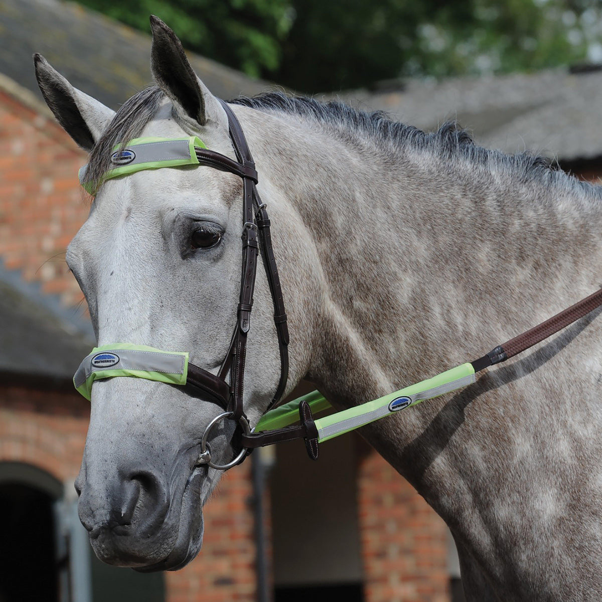 Reflective Bridle Set 4 Piece Yellow