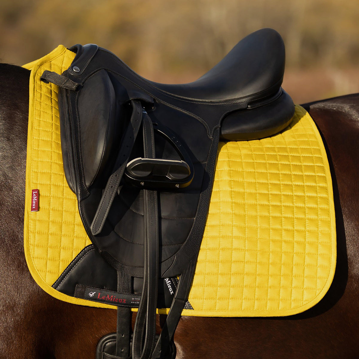 Suede Dressage Saddle Pad Dijon