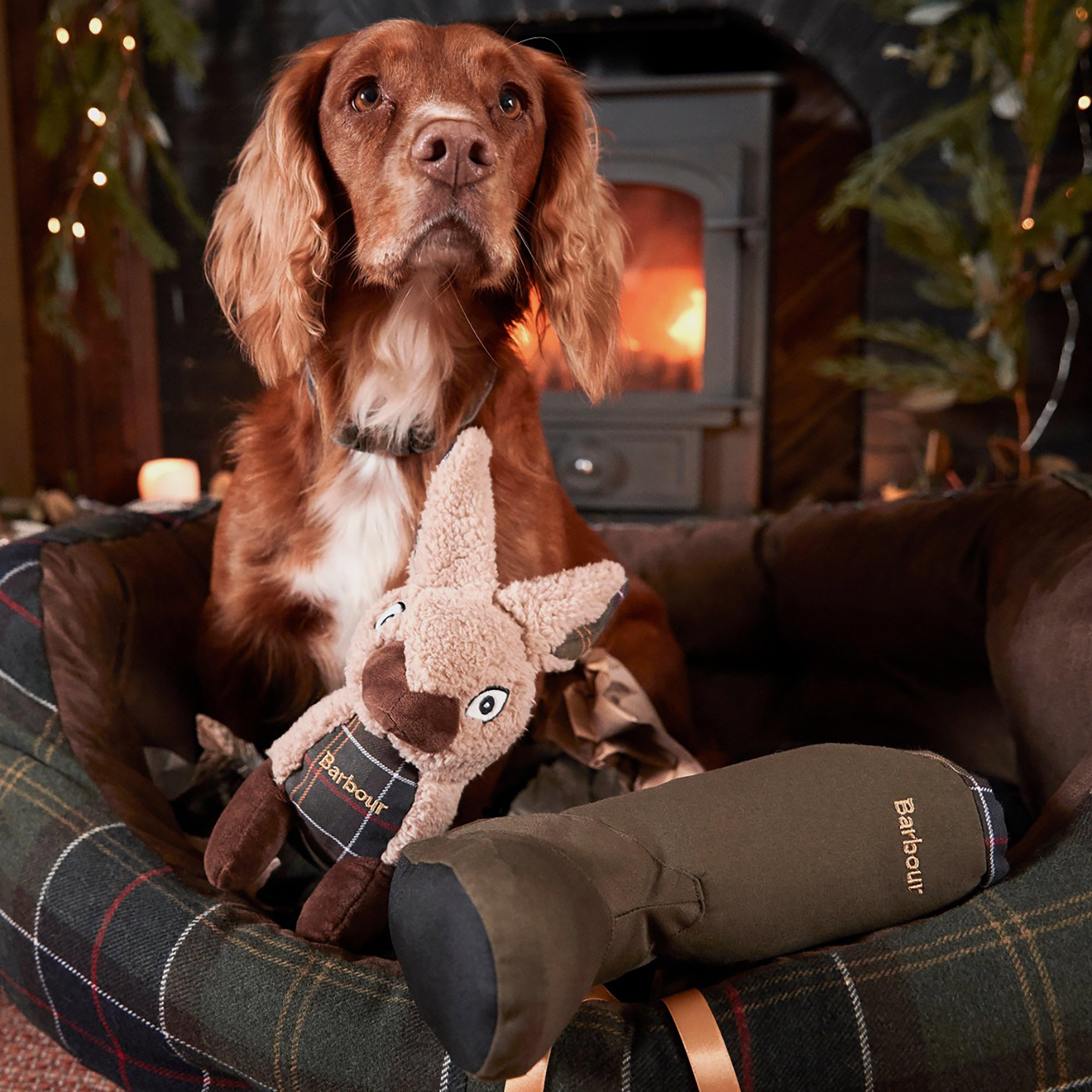 Welly Boot Dog Toy Green