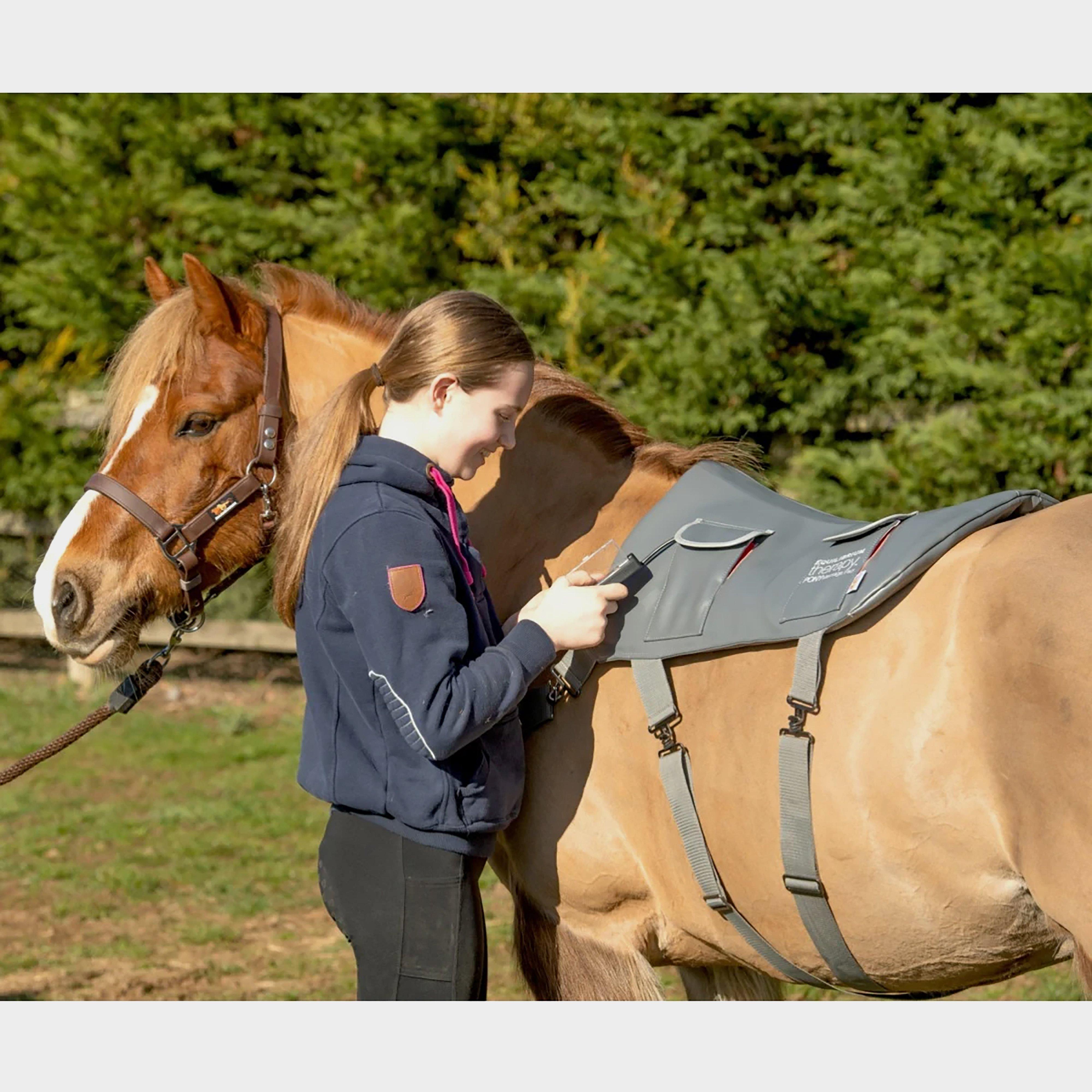 Pony Massage Pad