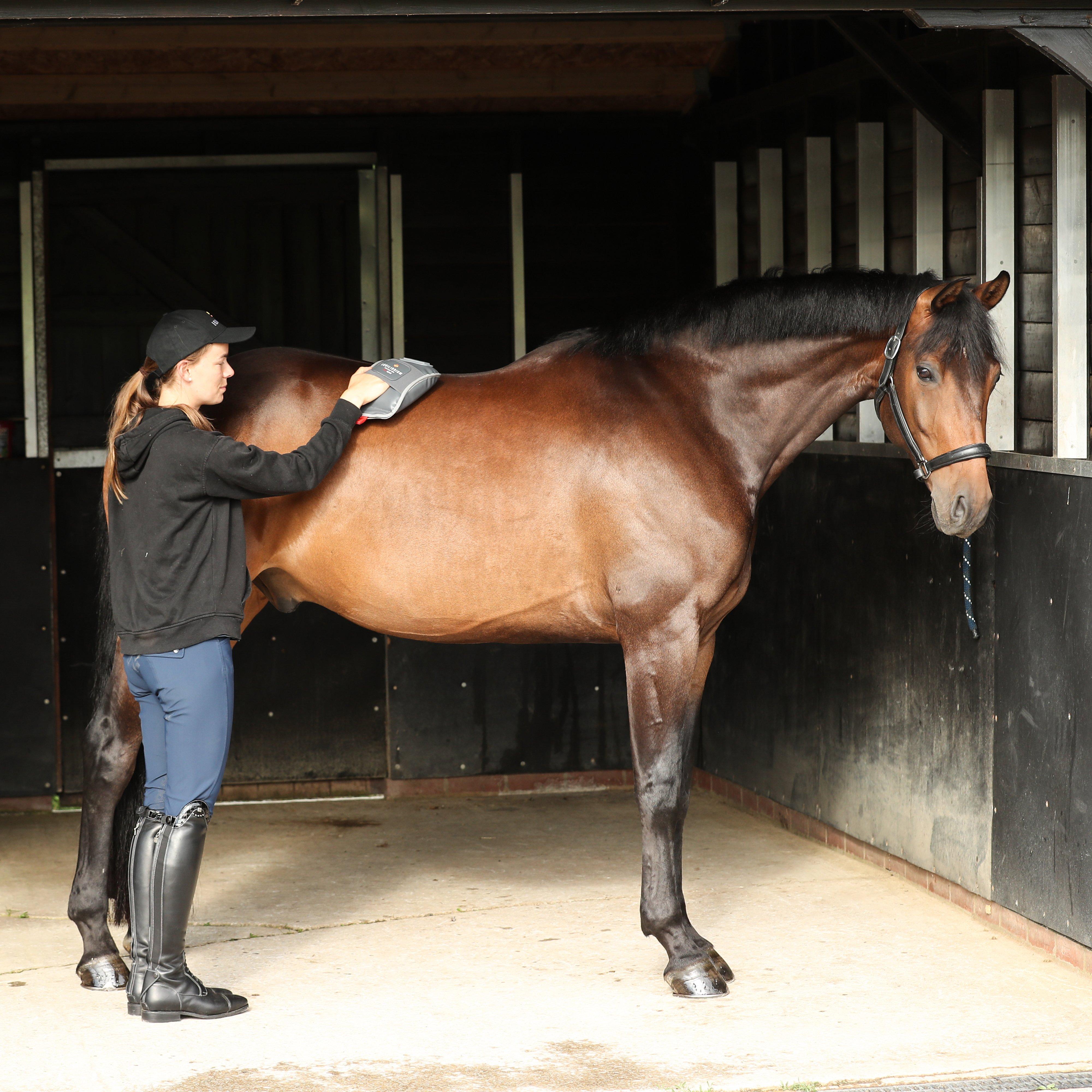 Massage Mitt Hotspot