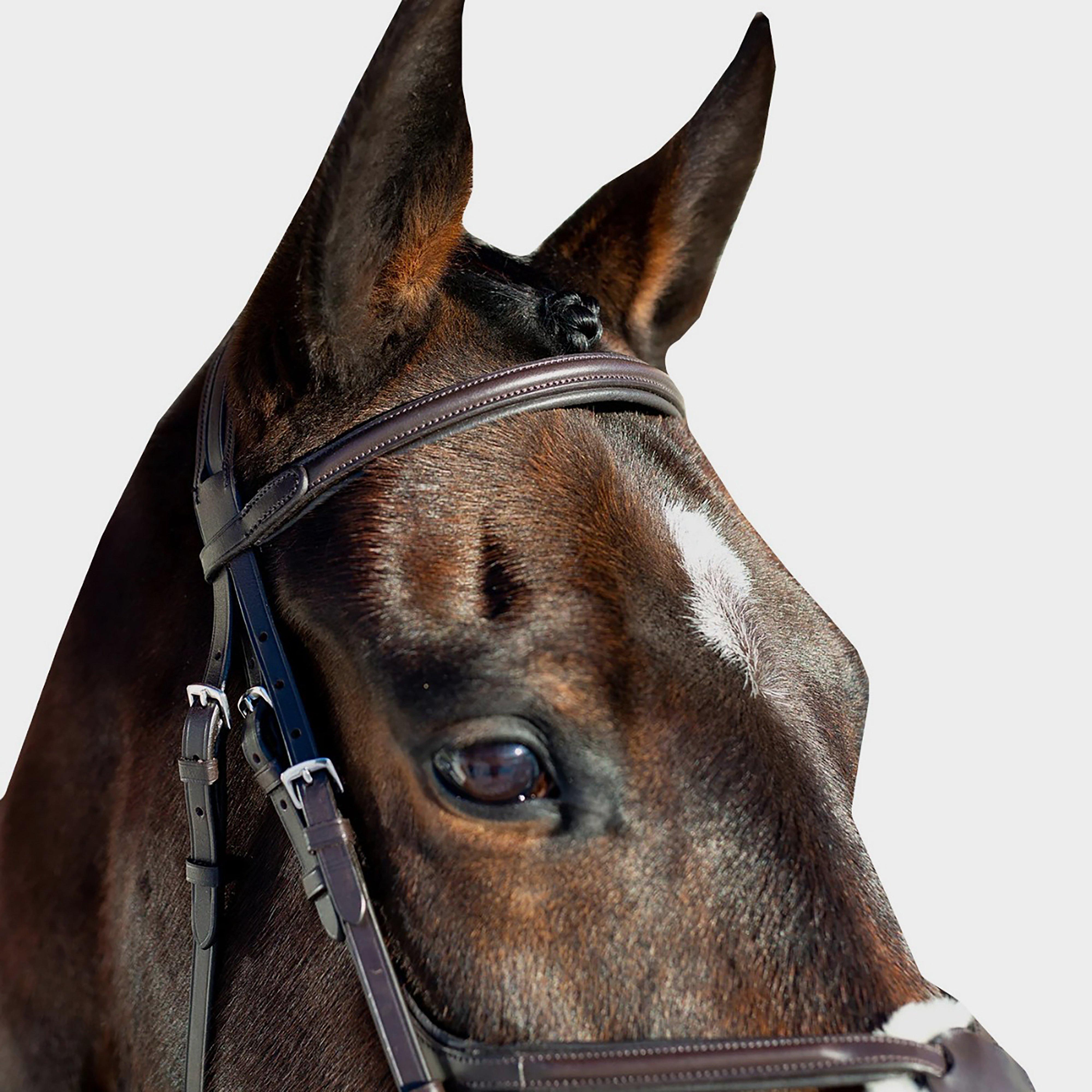 Prescott Mexican Bridle Brown