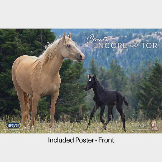 Traditional Encore & Tor