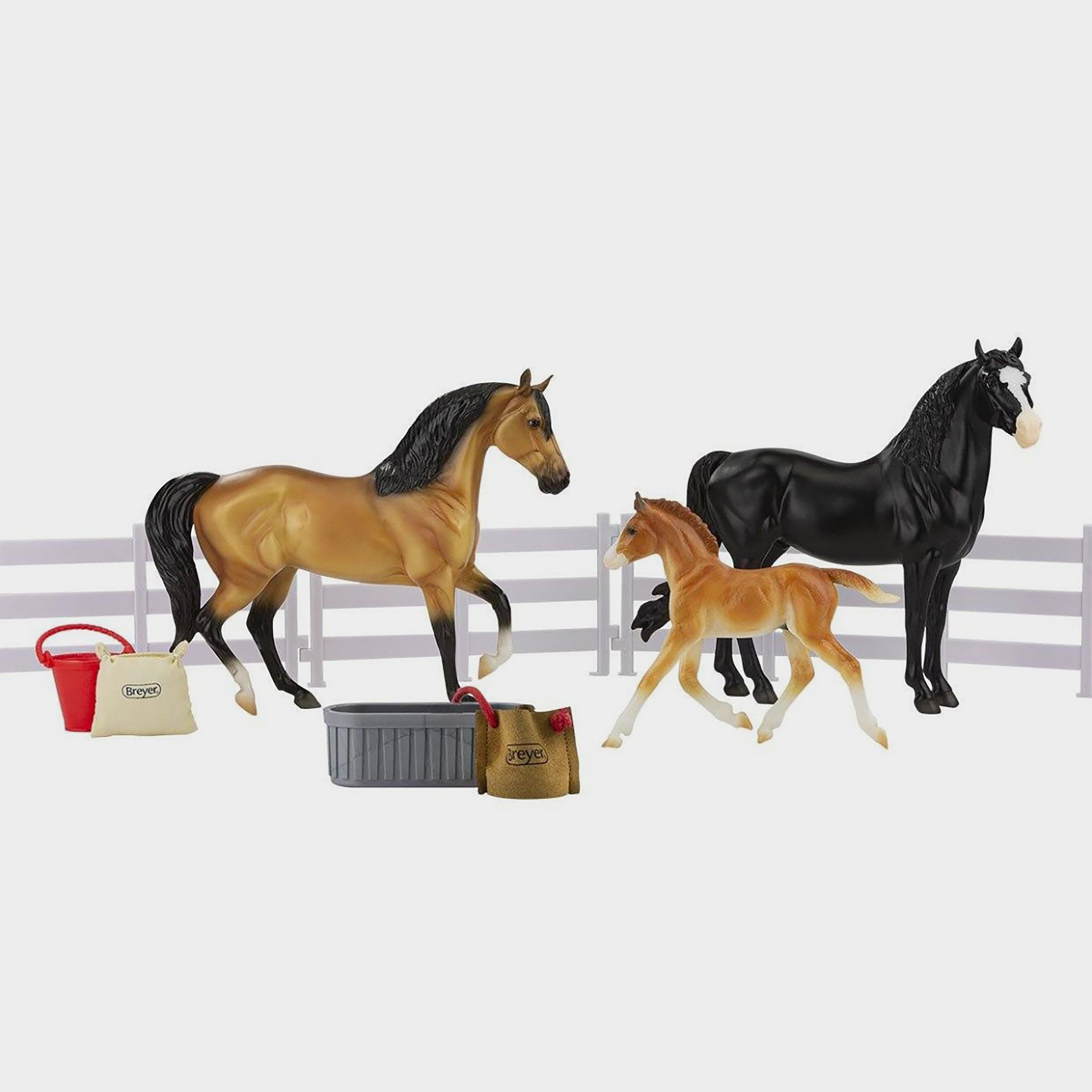 Freedom Spanish Mustang Family