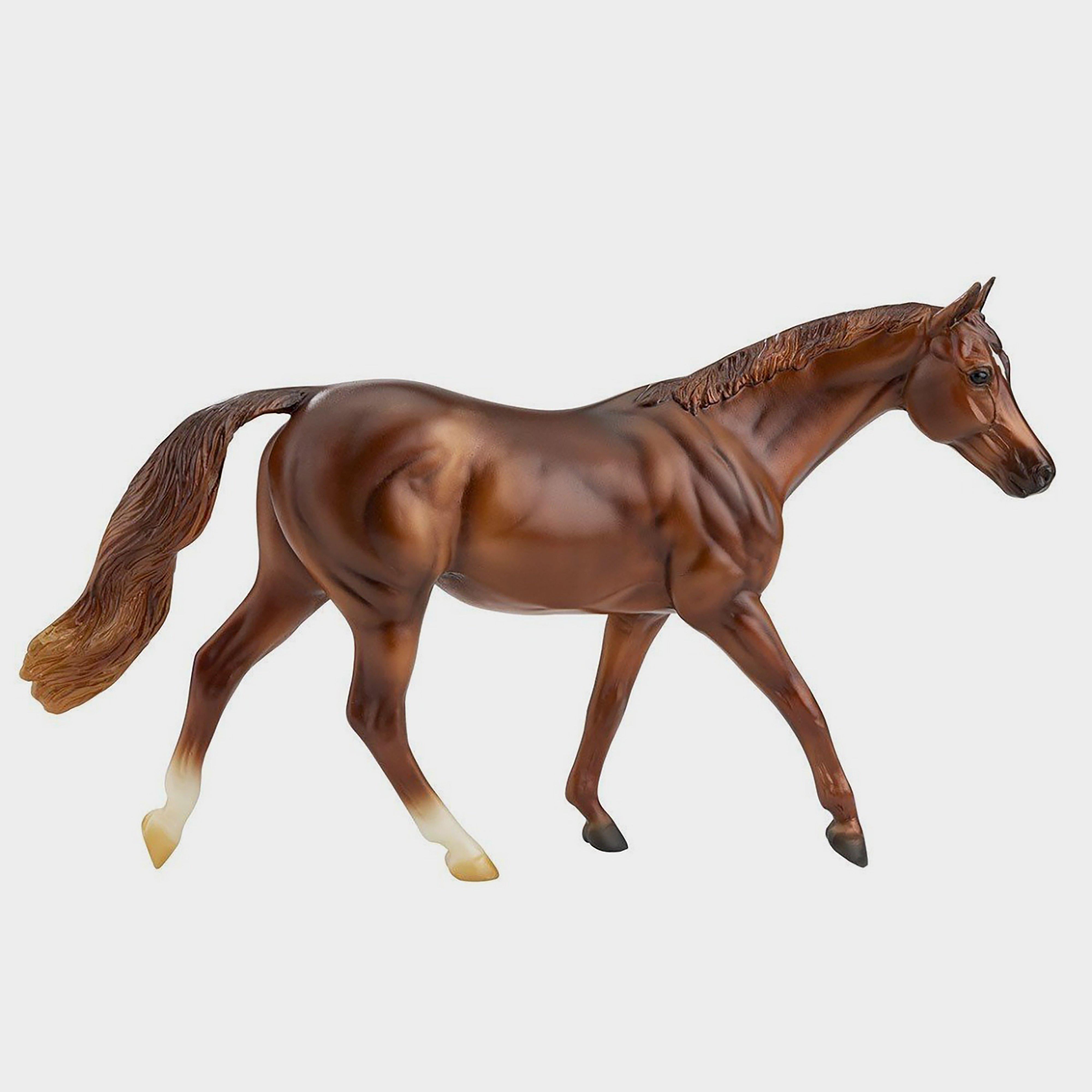 Freedom Coppery Chestnut Thoroughbred