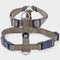 Country Green Bones Dog Harness