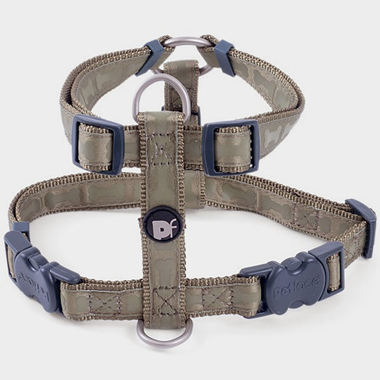 Country Green Bones Dog Harness