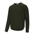 Mens Borders Heavy Rib Knit Pullover Loden