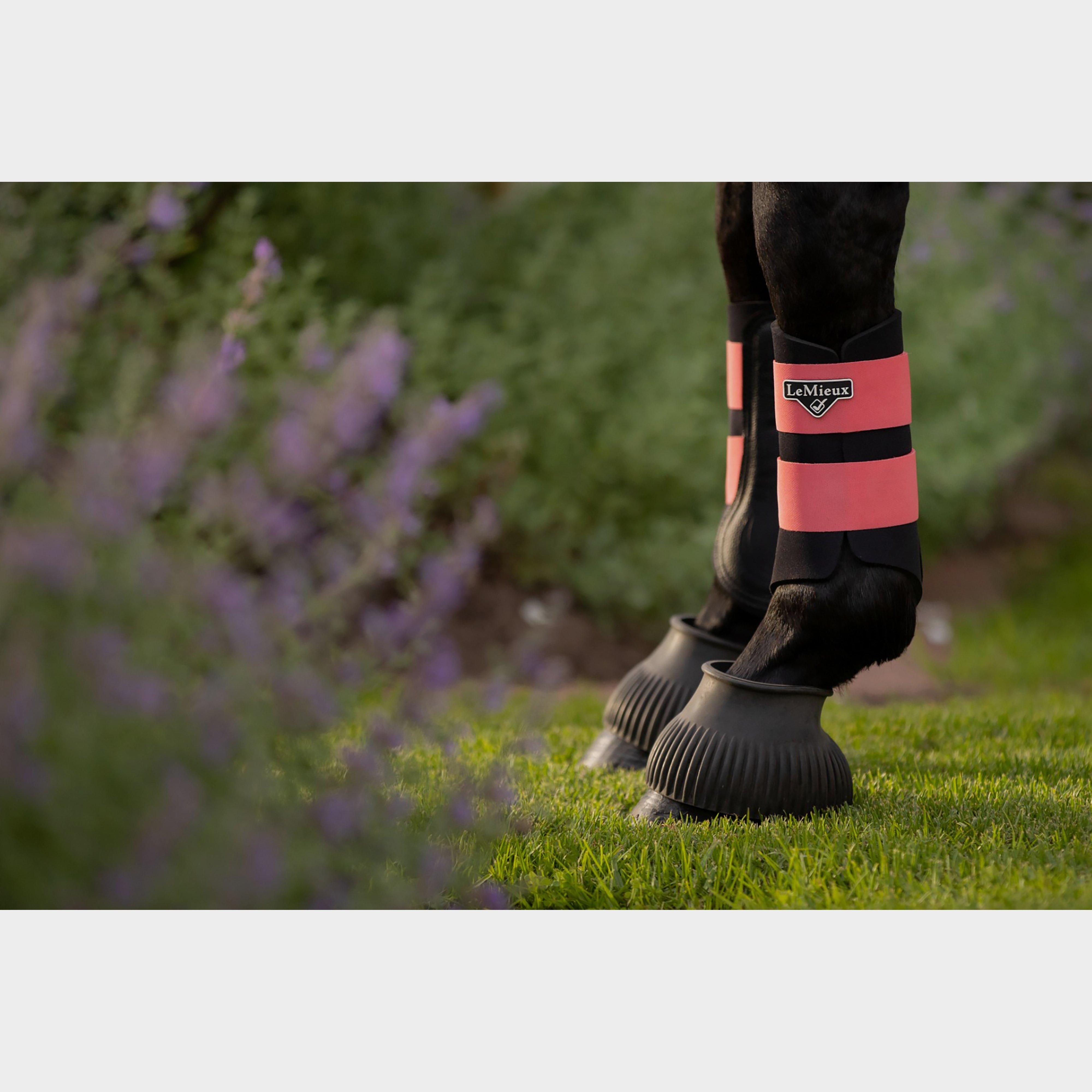 Grafter Brushing Boot Papaya