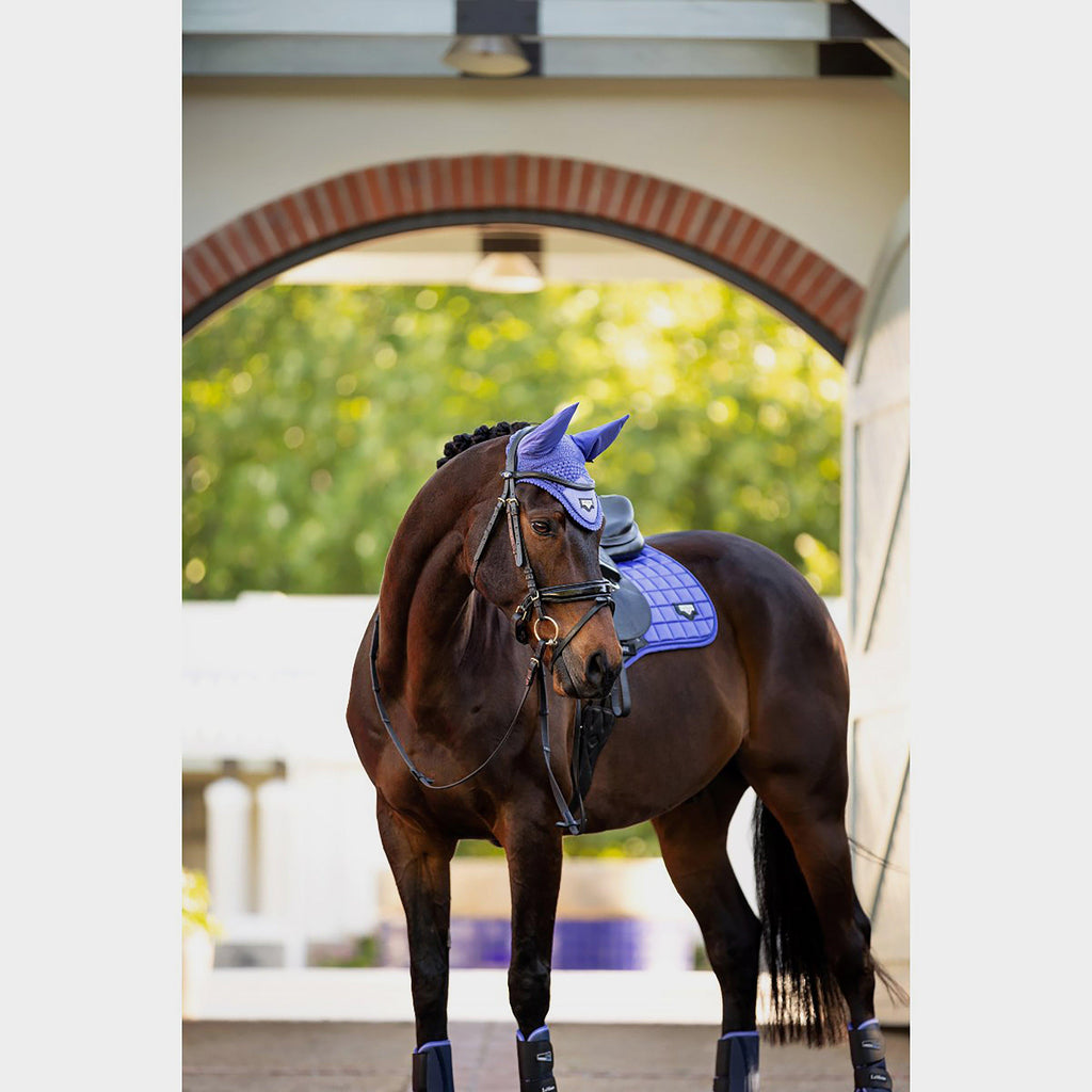 Loire Satin Fly Hood Bluebell