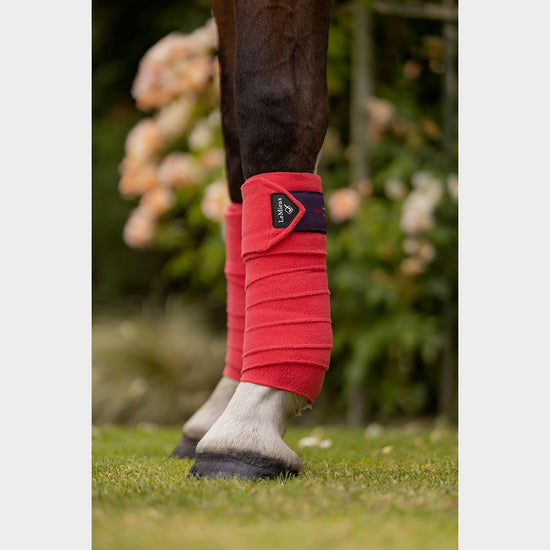 Luxury Polo Bandages Papaya