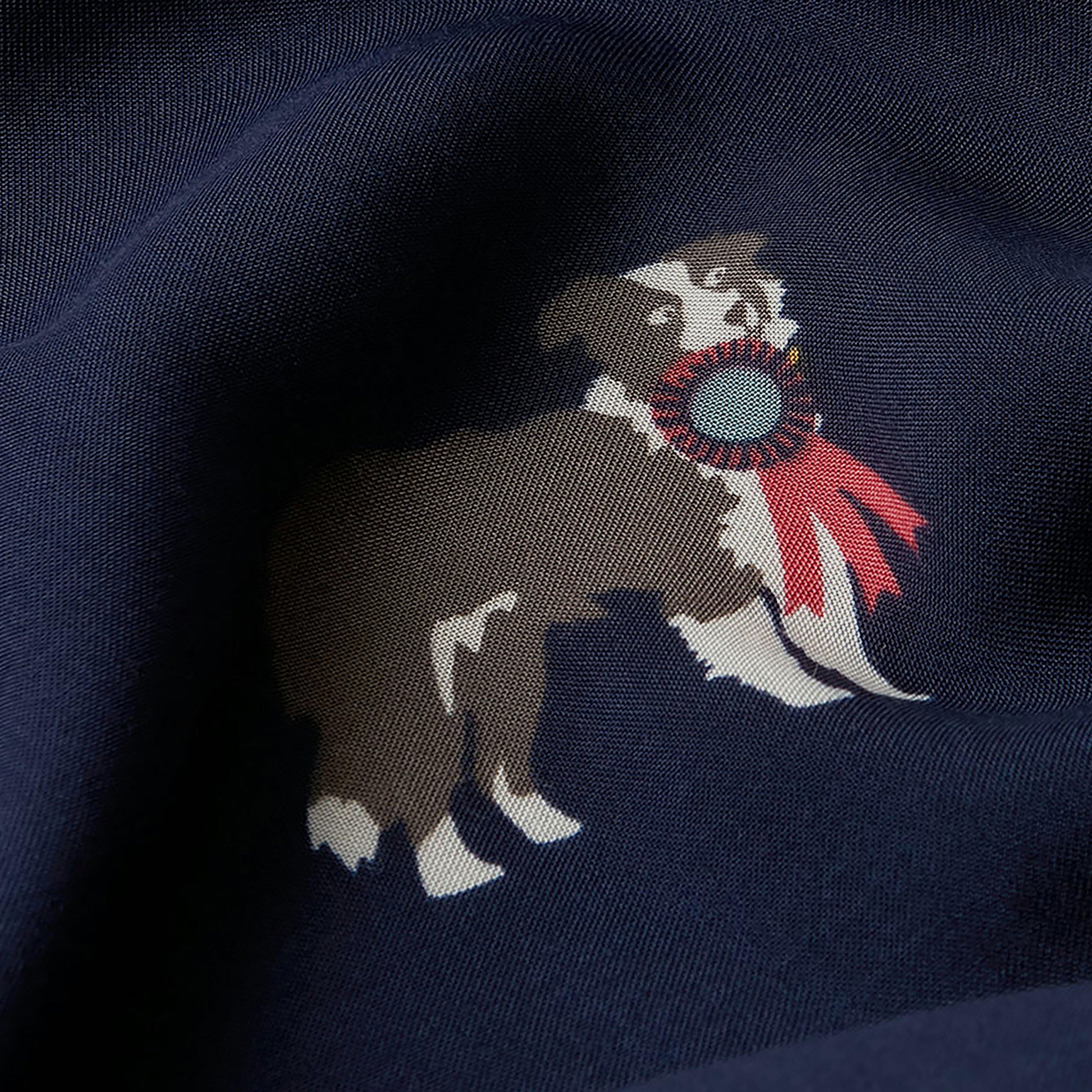 Women's Conway Scarf Navy Dogs