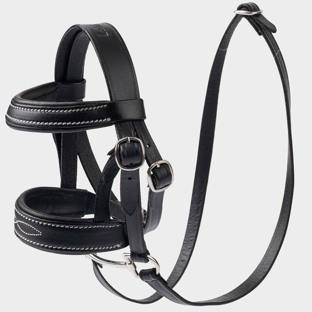 Mini LeMieux Pony Bridle Black