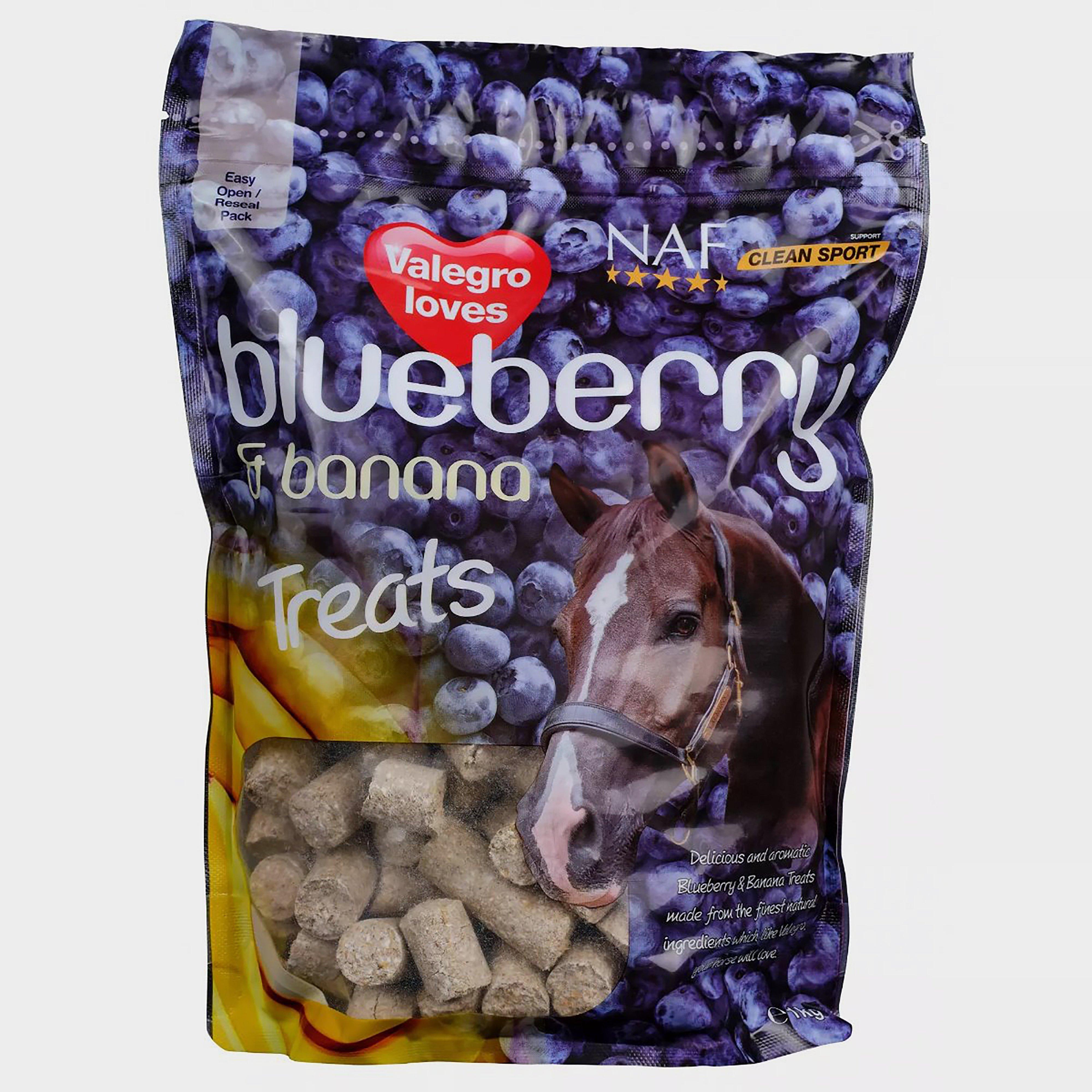 Banana & Blueberry Treats 1kg