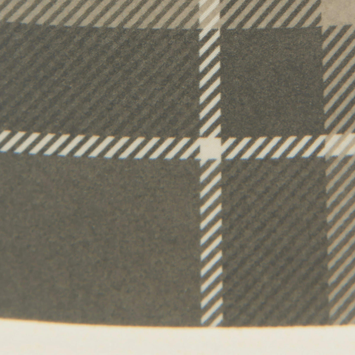 Tartan Dog Bowl Classic Tartan