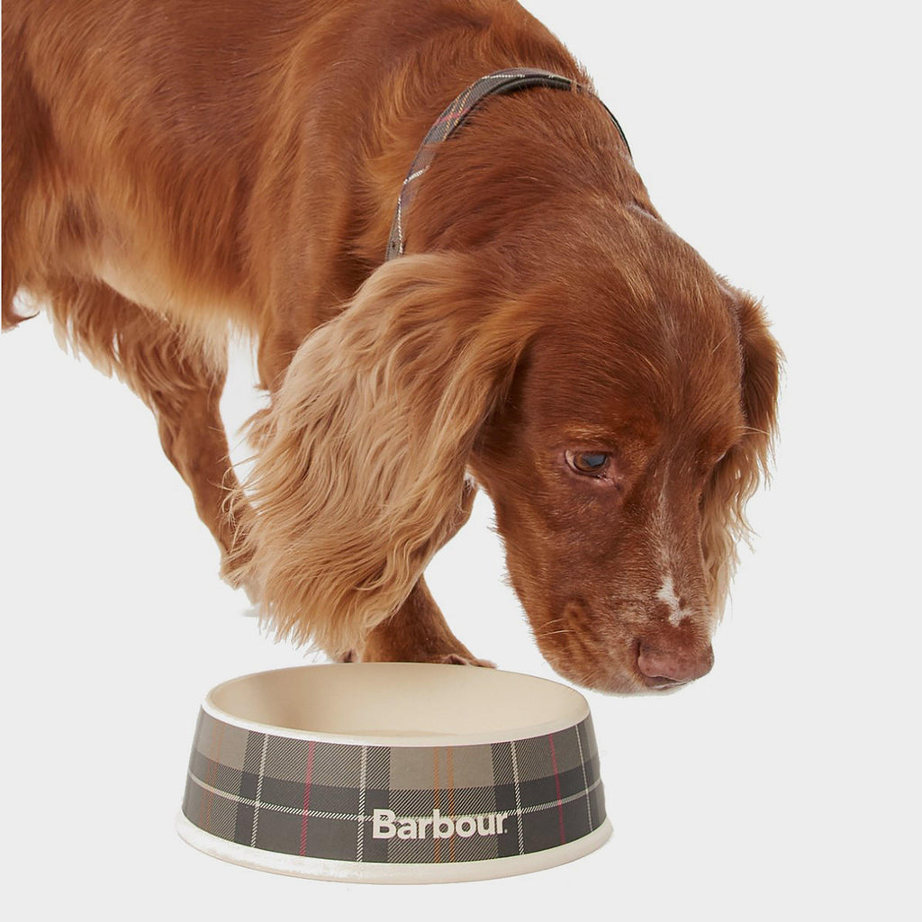 Tartan Dog Bowl Classic Tartan