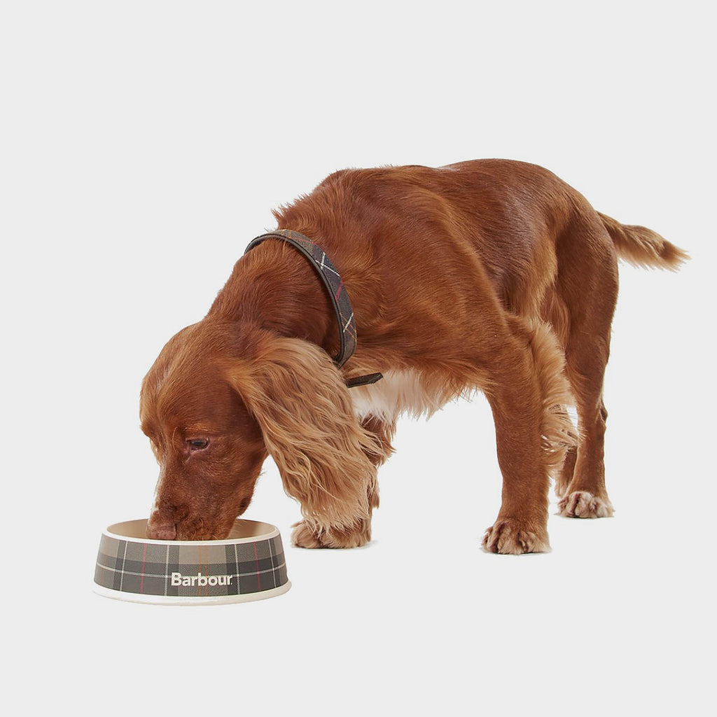 Tartan Dog Bowl Classic Tartan