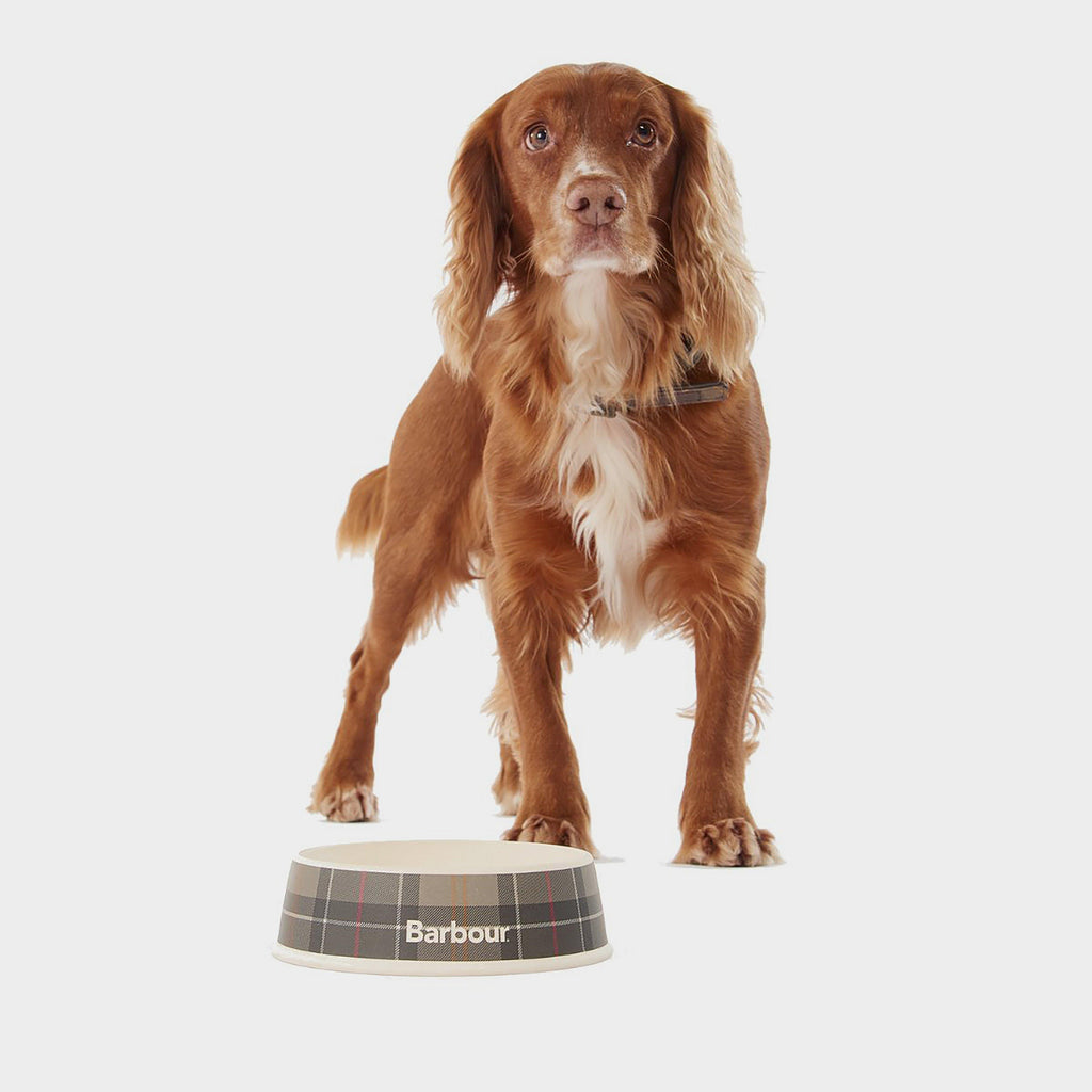 Tartan Dog Bowl Classic Tartan