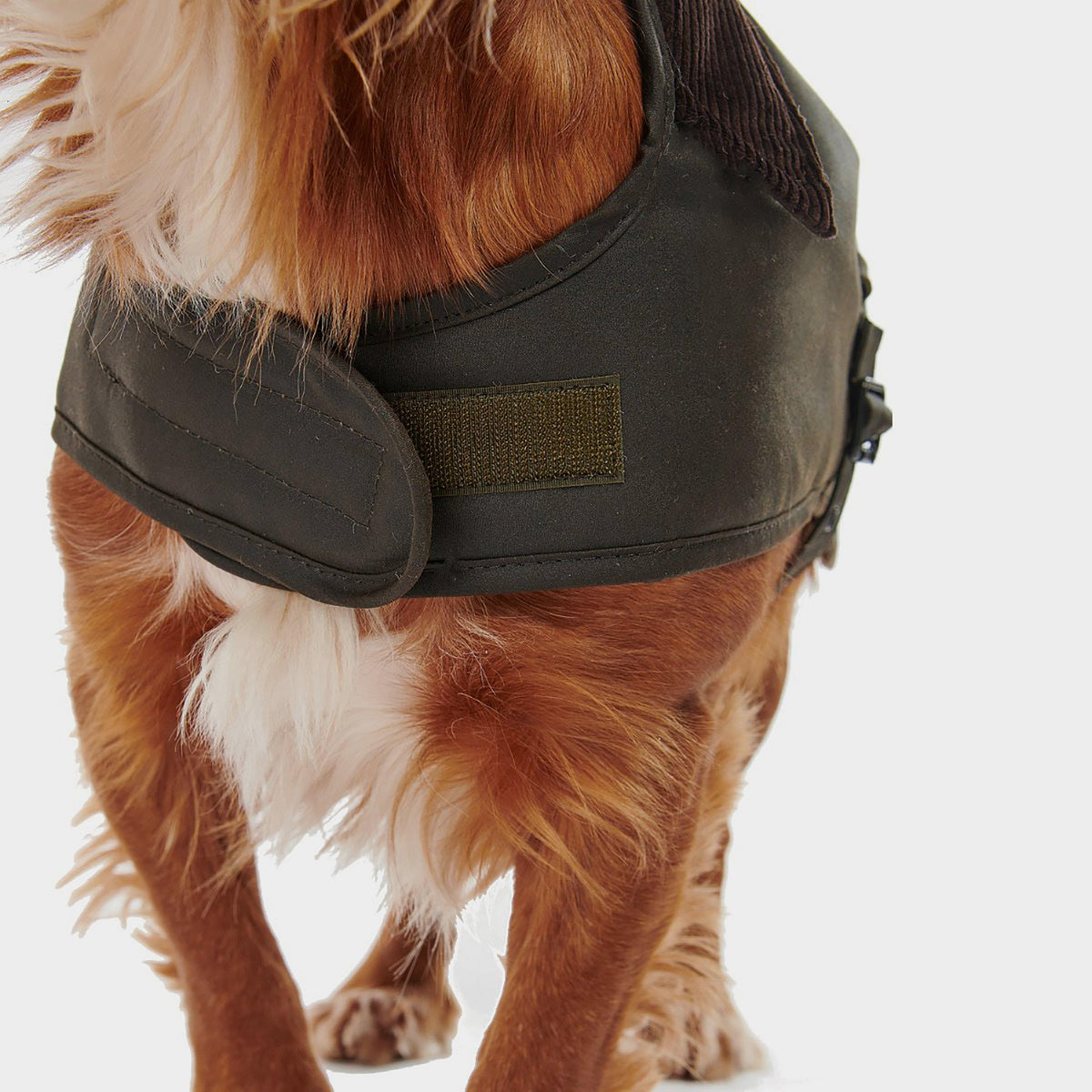 Shiny Wax Dog Coat Olive