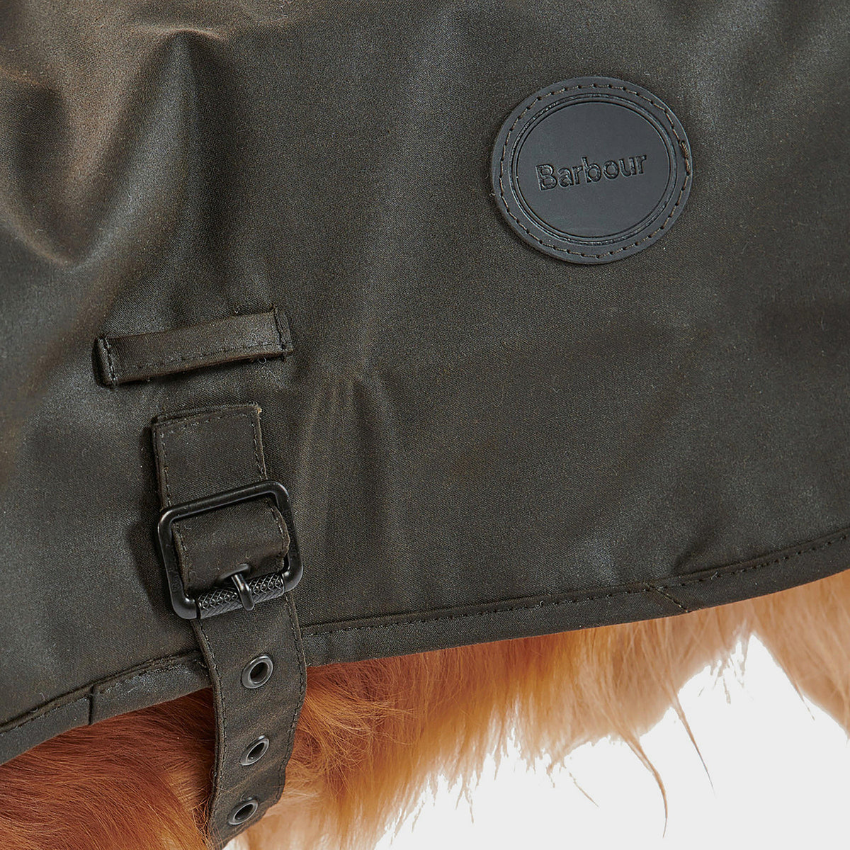 Shiny Wax Dog Coat Olive