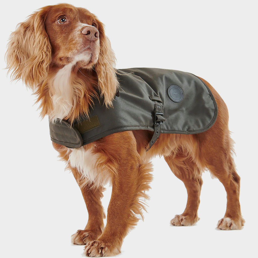 Shiny Wax Dog Coat Olive