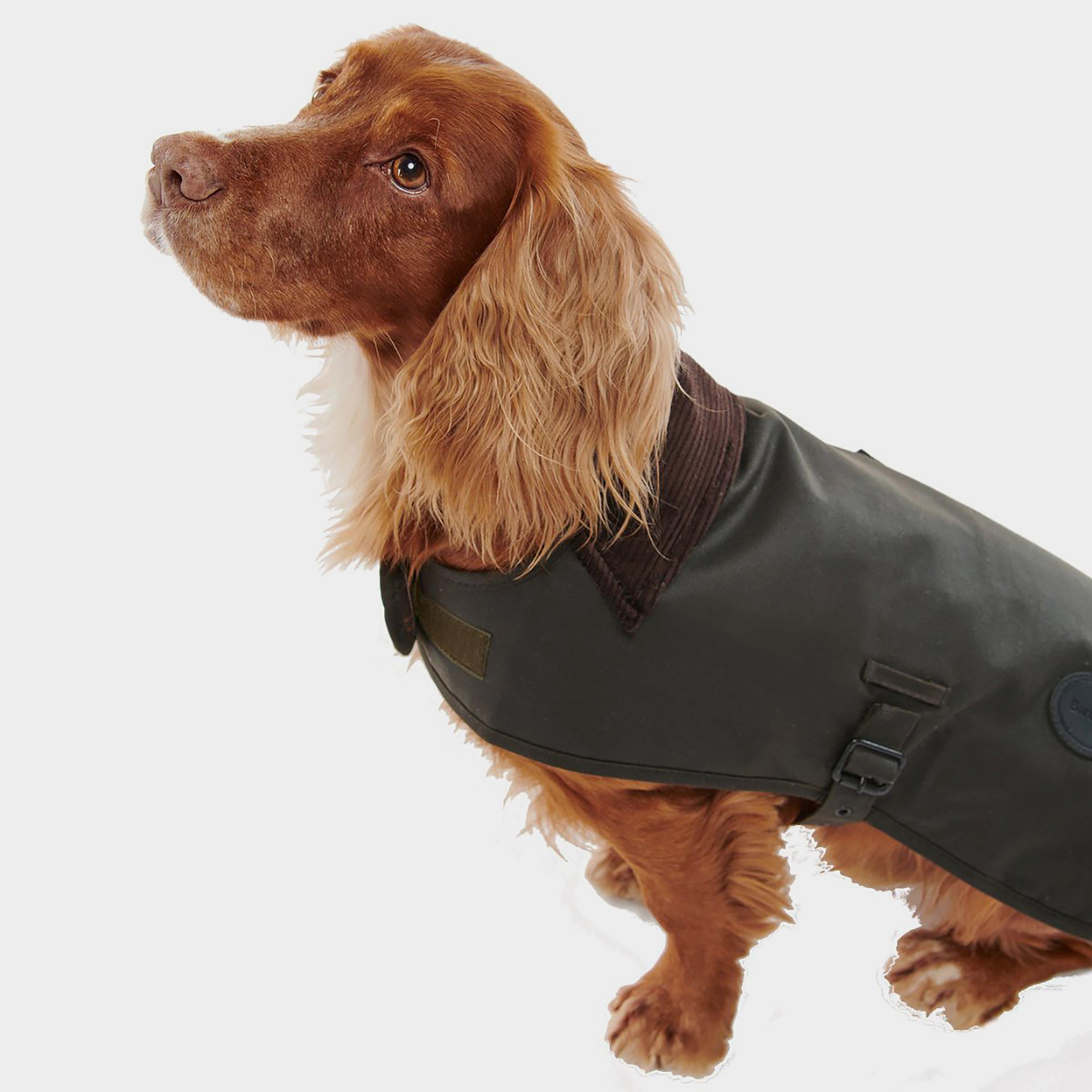 Shiny Wax Dog Coat Olive