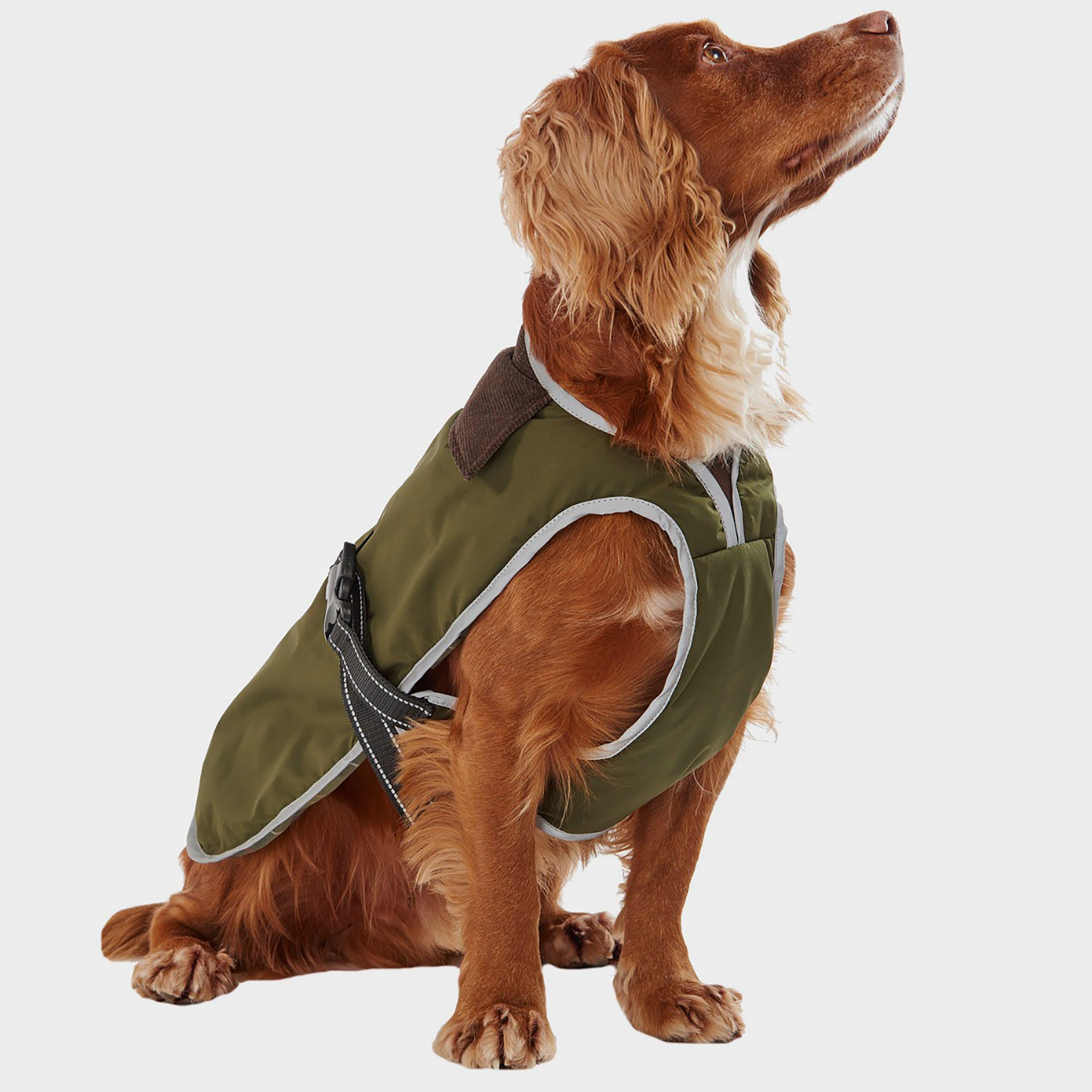 Monmouth Waterproof Dog Coat Olive
