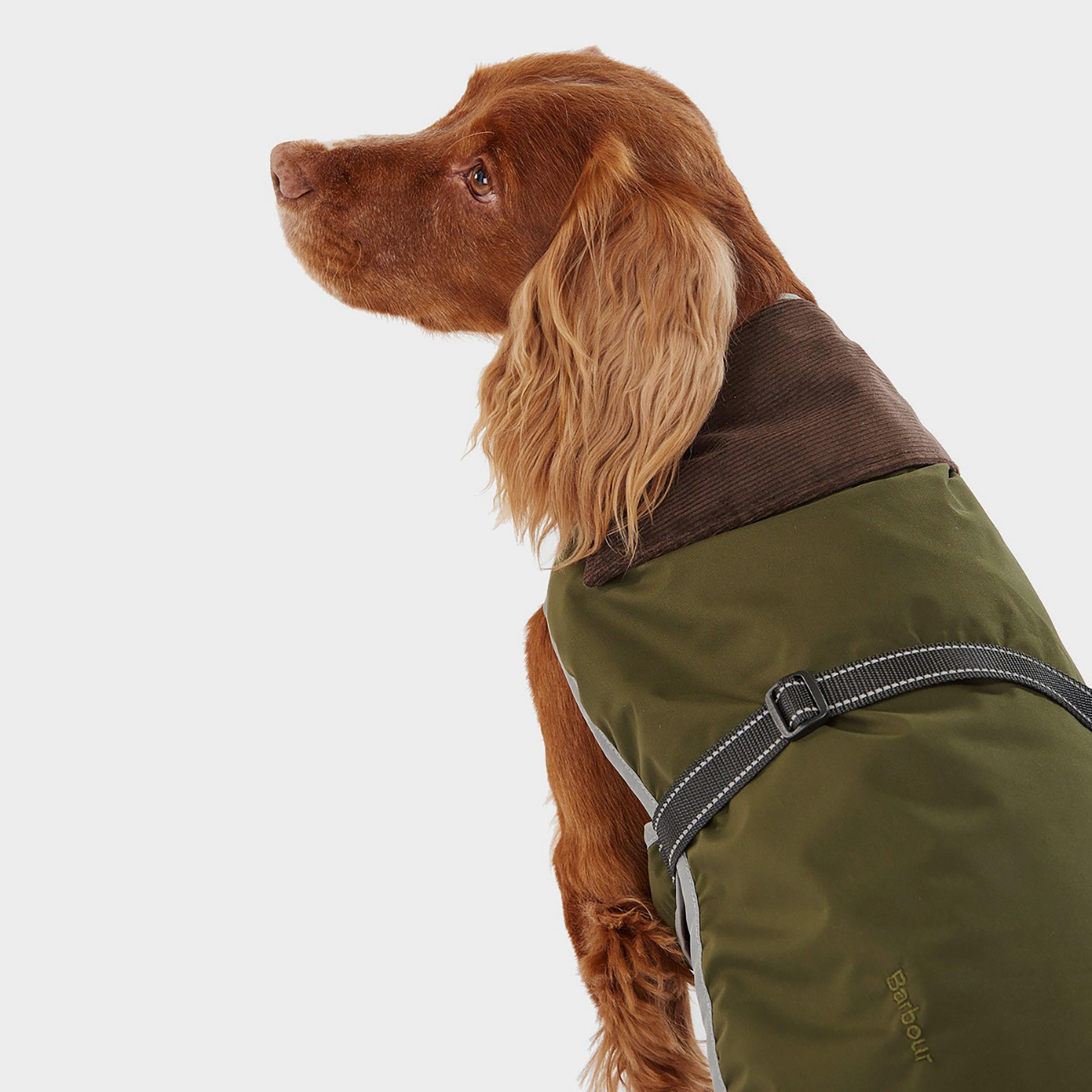 Monmouth Waterproof Dog Coat Olive
