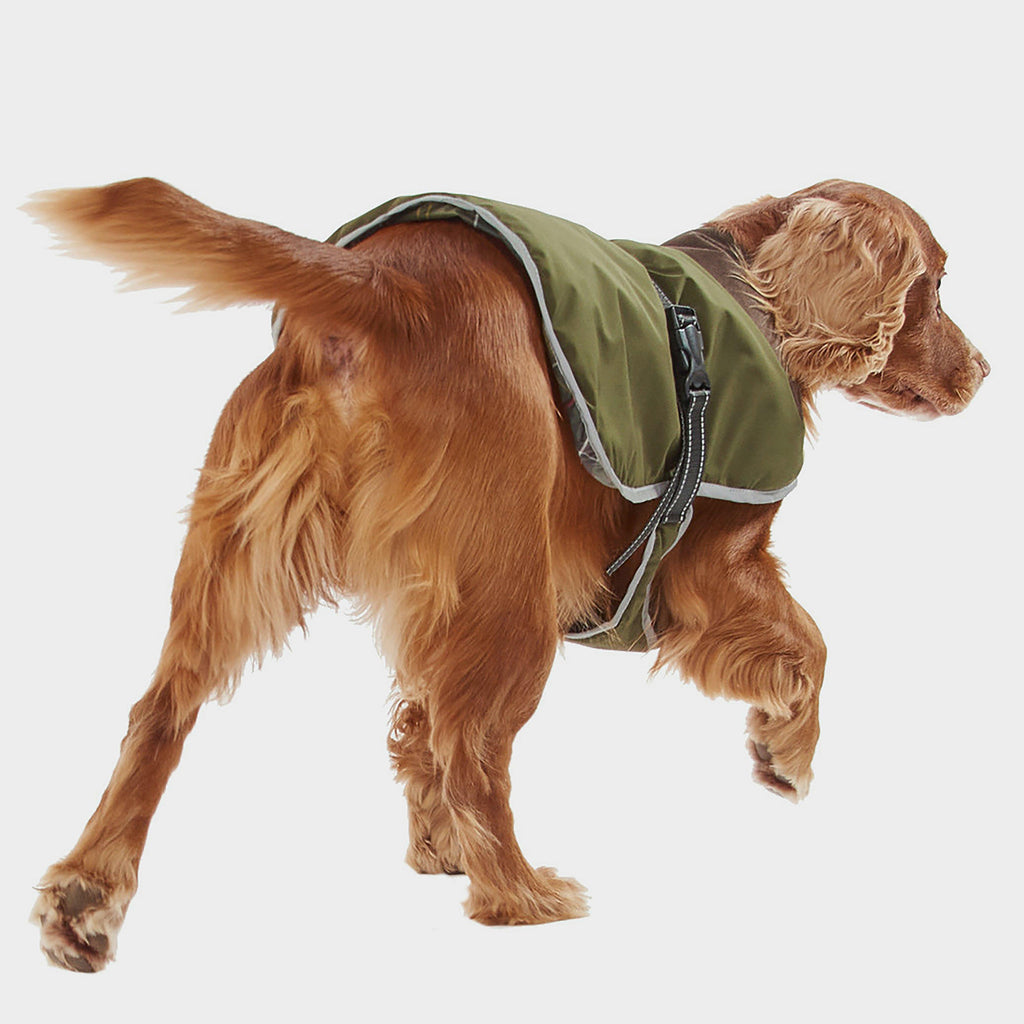 Monmouth Waterproof Dog Coat Olive