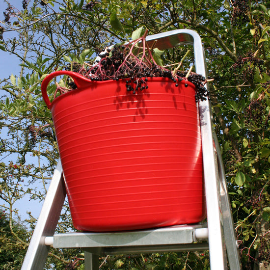 Flexible Bucket Red