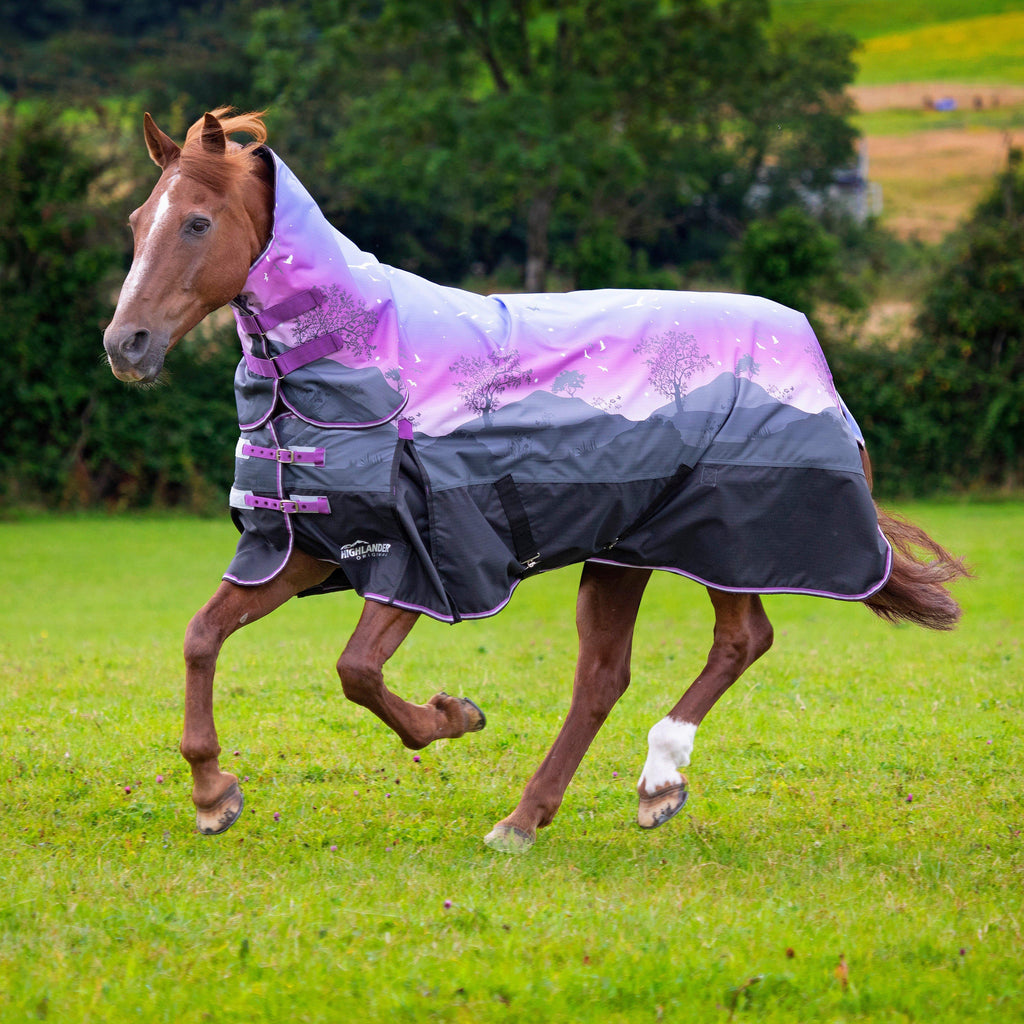 Highlander Original 100g Combo Neck Turnout Rug Spring Morning