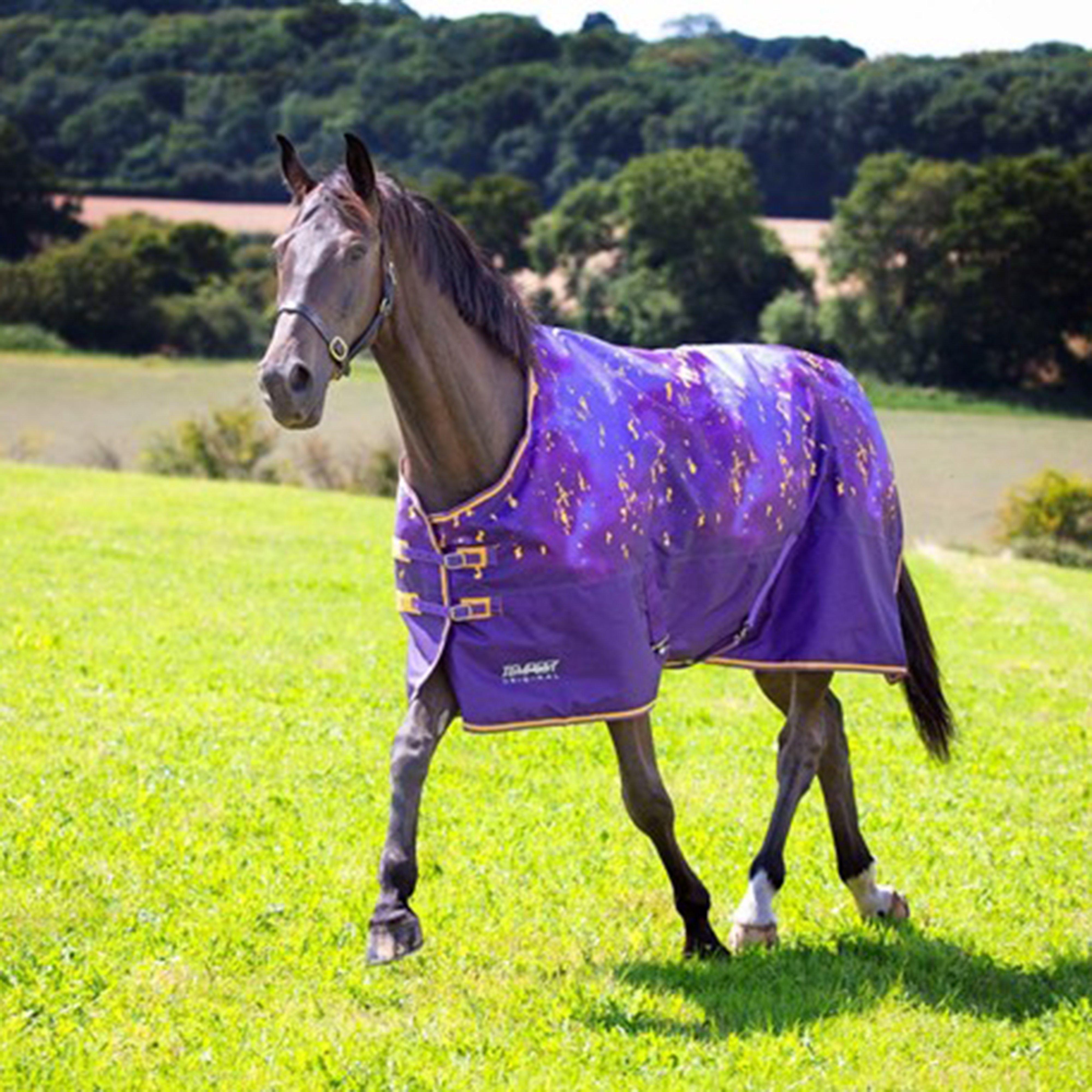 Tempest Original 100g Standard Neck Turnout Rug Amethyst