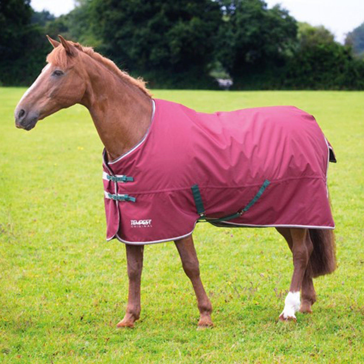 Tempest Original Standard Neck 200g Medium Weight Turnout Rug Burgundy