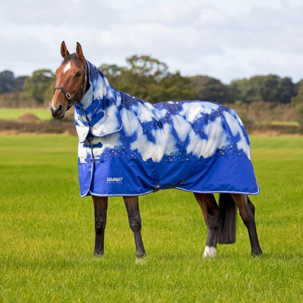 Tempest Original 200g Medium Weight Combo Neck Turnout Rug Clouds