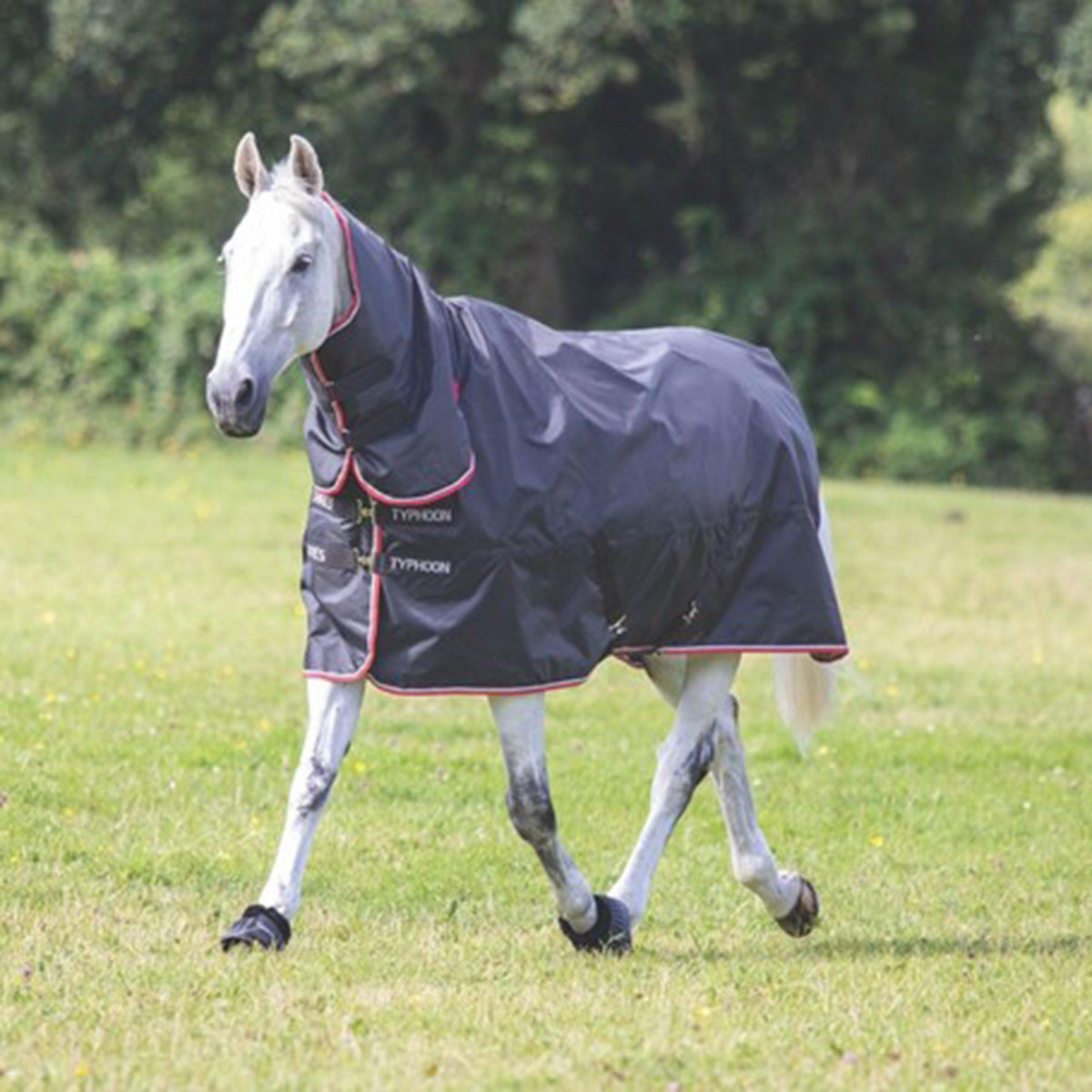 Typhoon 200g Medium Weight Combo Neck Turnout Rug Black