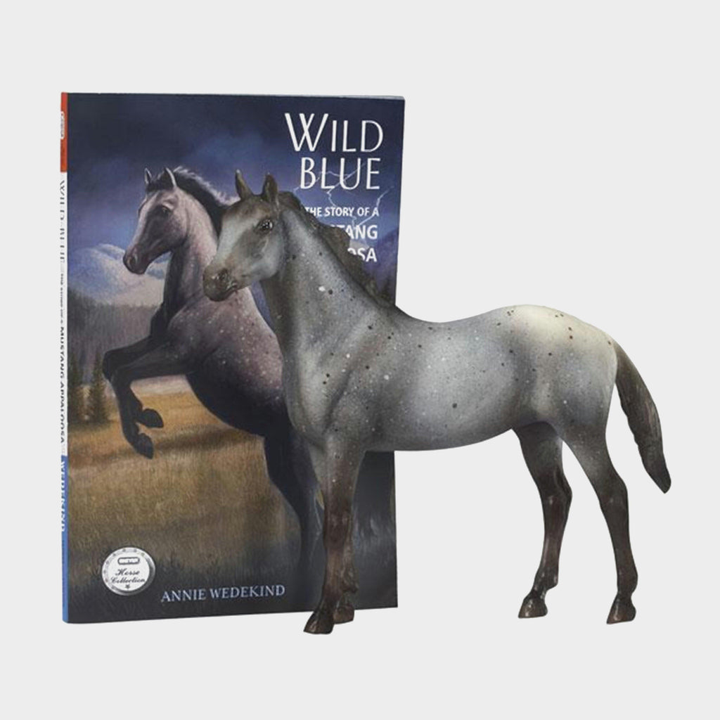 Wild Blue Book and Model Set